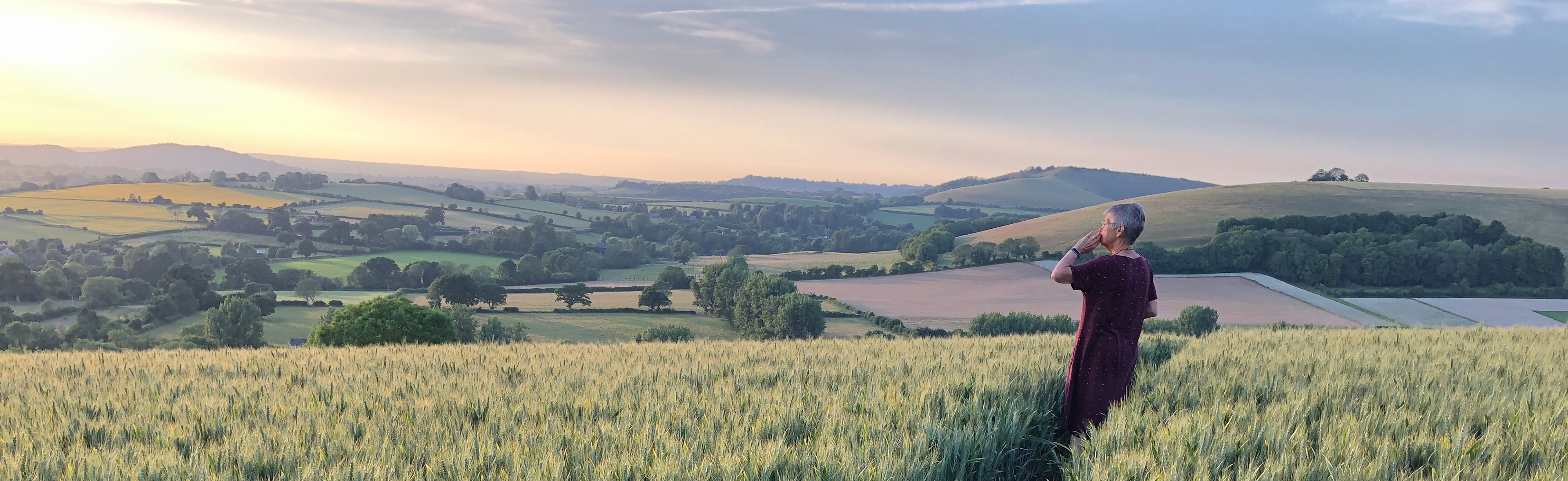 The view from above Springhead