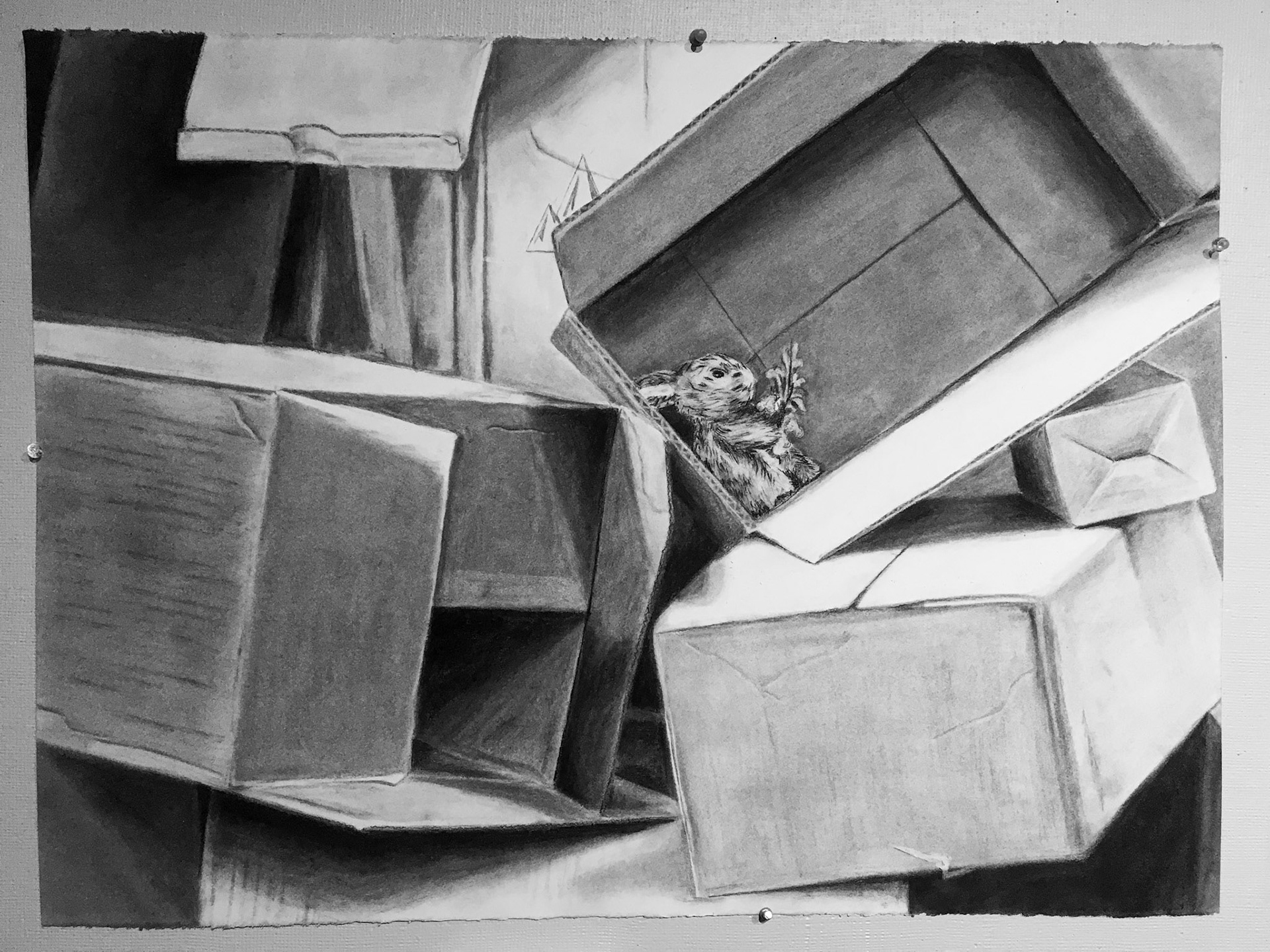 Lone Rabbit. 2019. Charcoal.