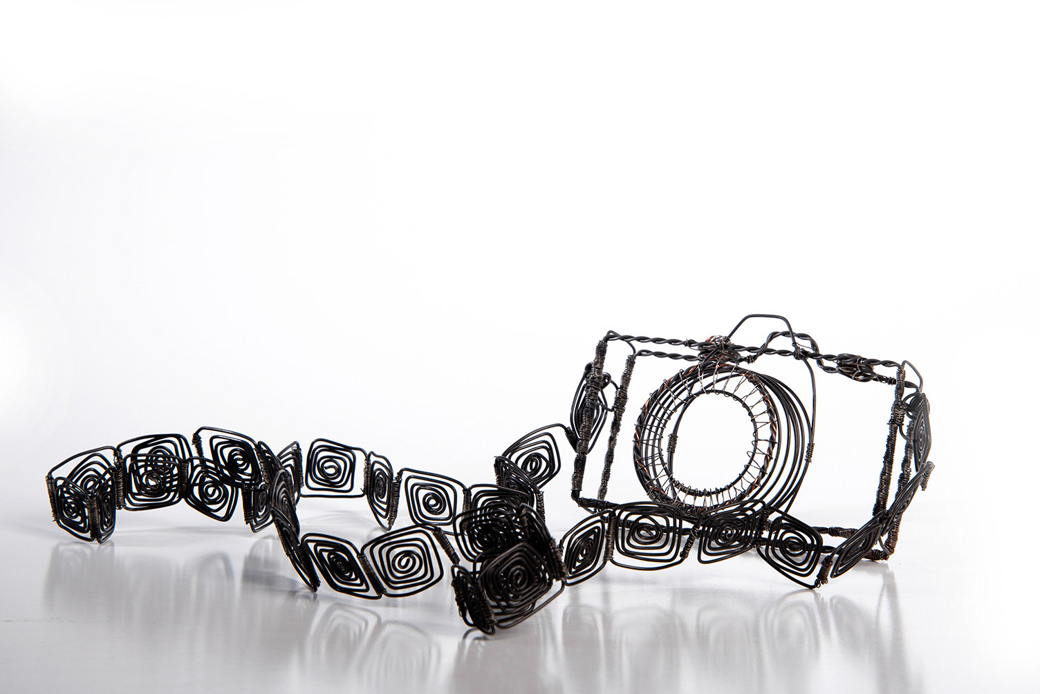 Wire Camera. 2020. Wire.