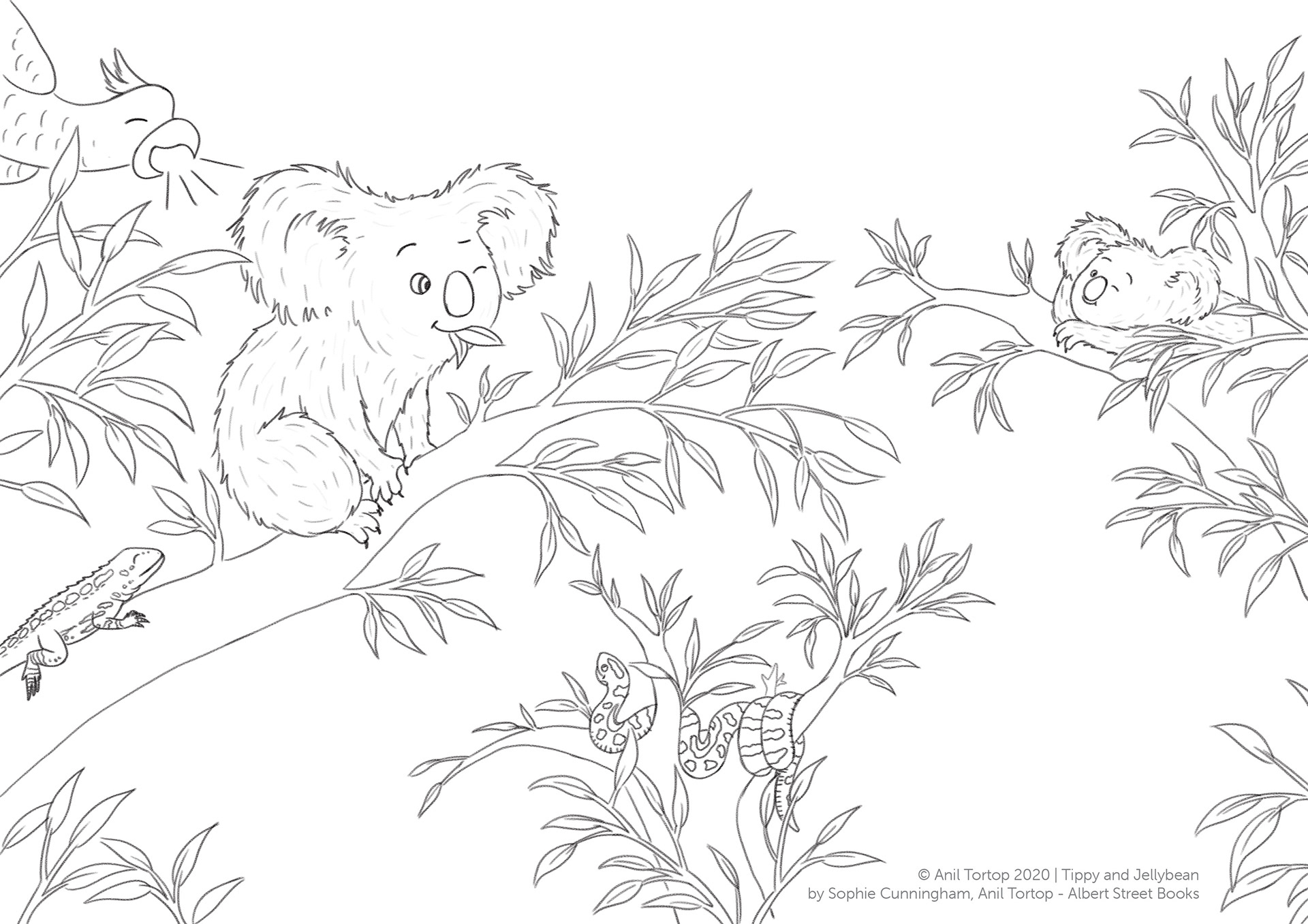 Colour-in — Tippy and Jellybean