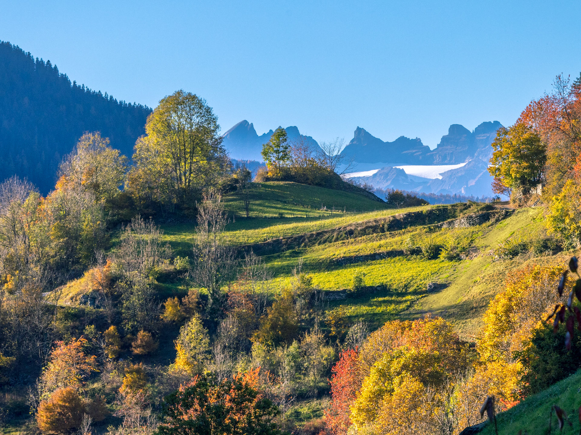 Dents du Midi
