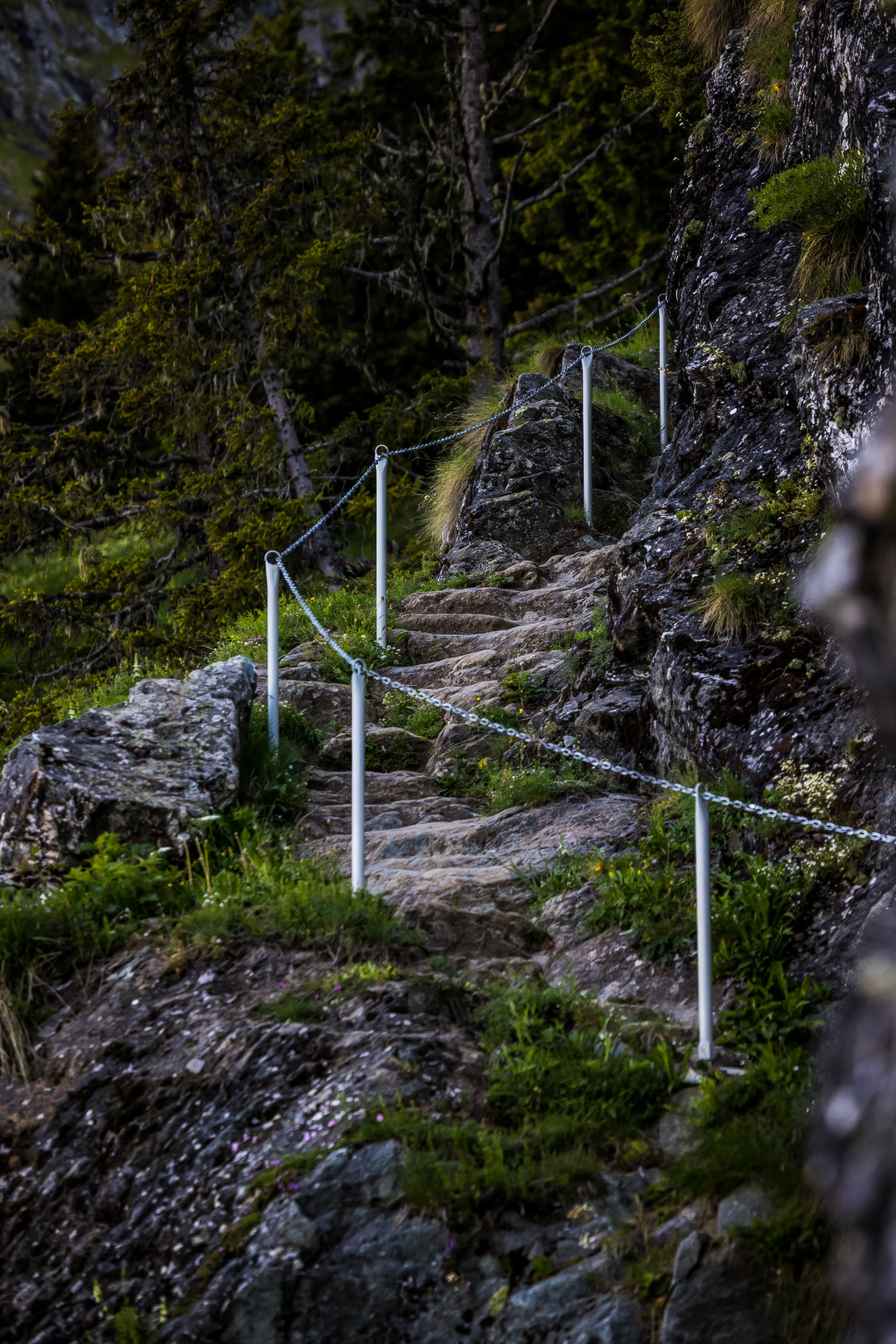 Chemin de Louvie
