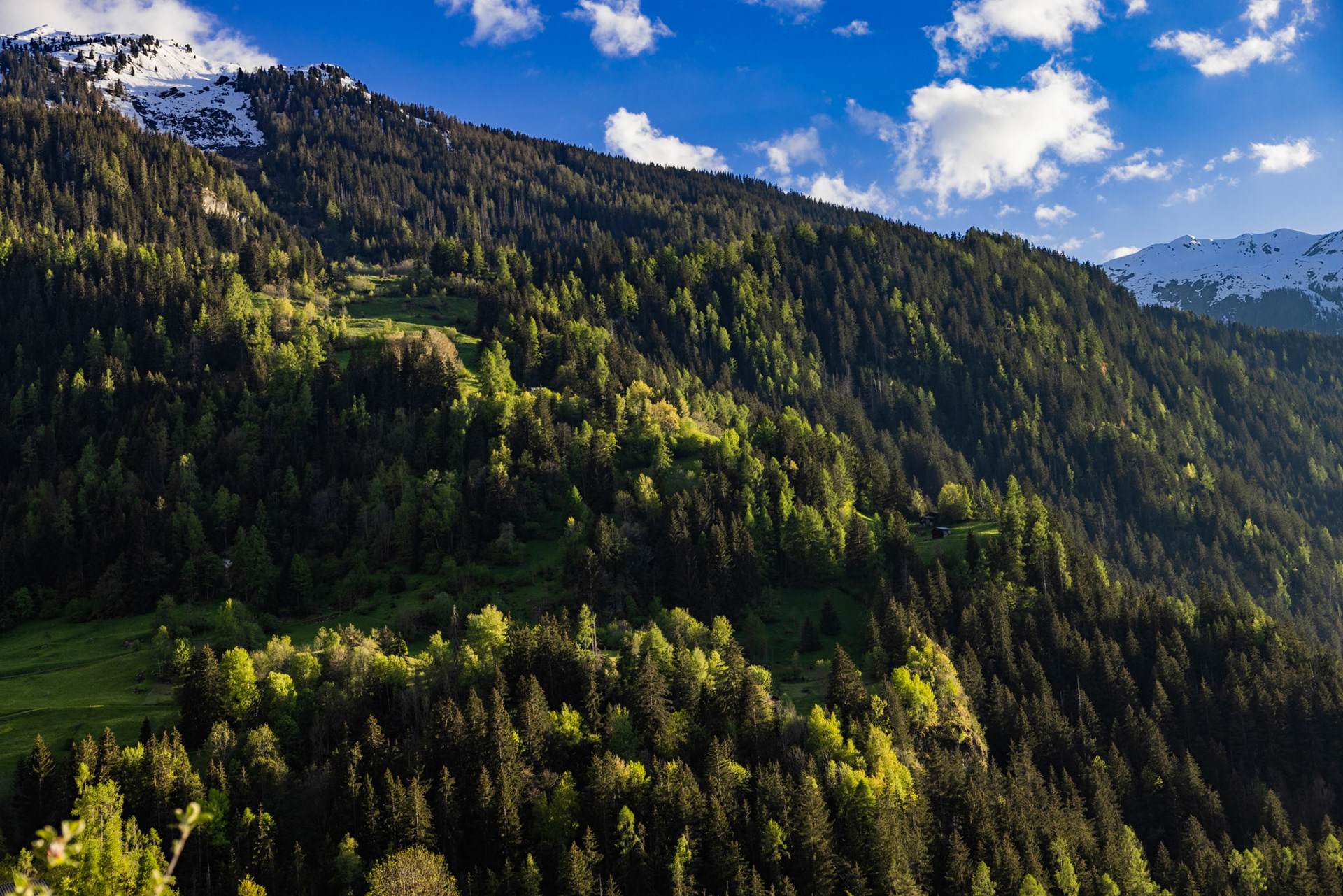 Le Rosay, la Tinte et Plenadzeu
