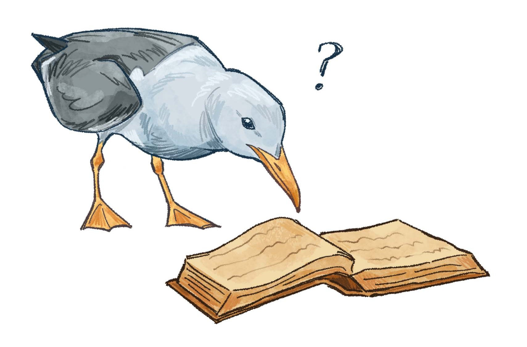 Summer Reading (Spot Illustration for Our Town Publishing)