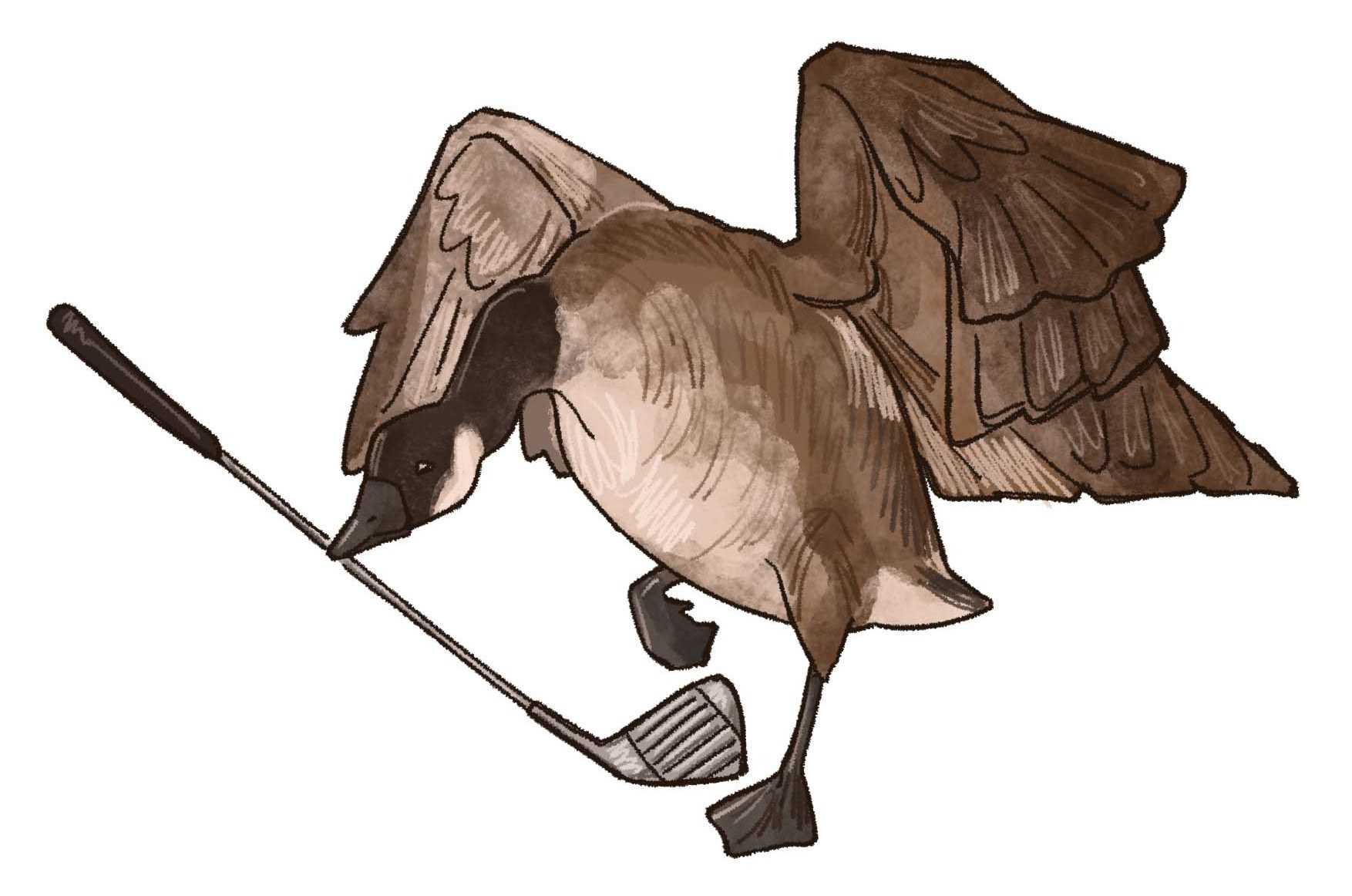 Golf Courses (Spot Illustration for Our Town Publishing)