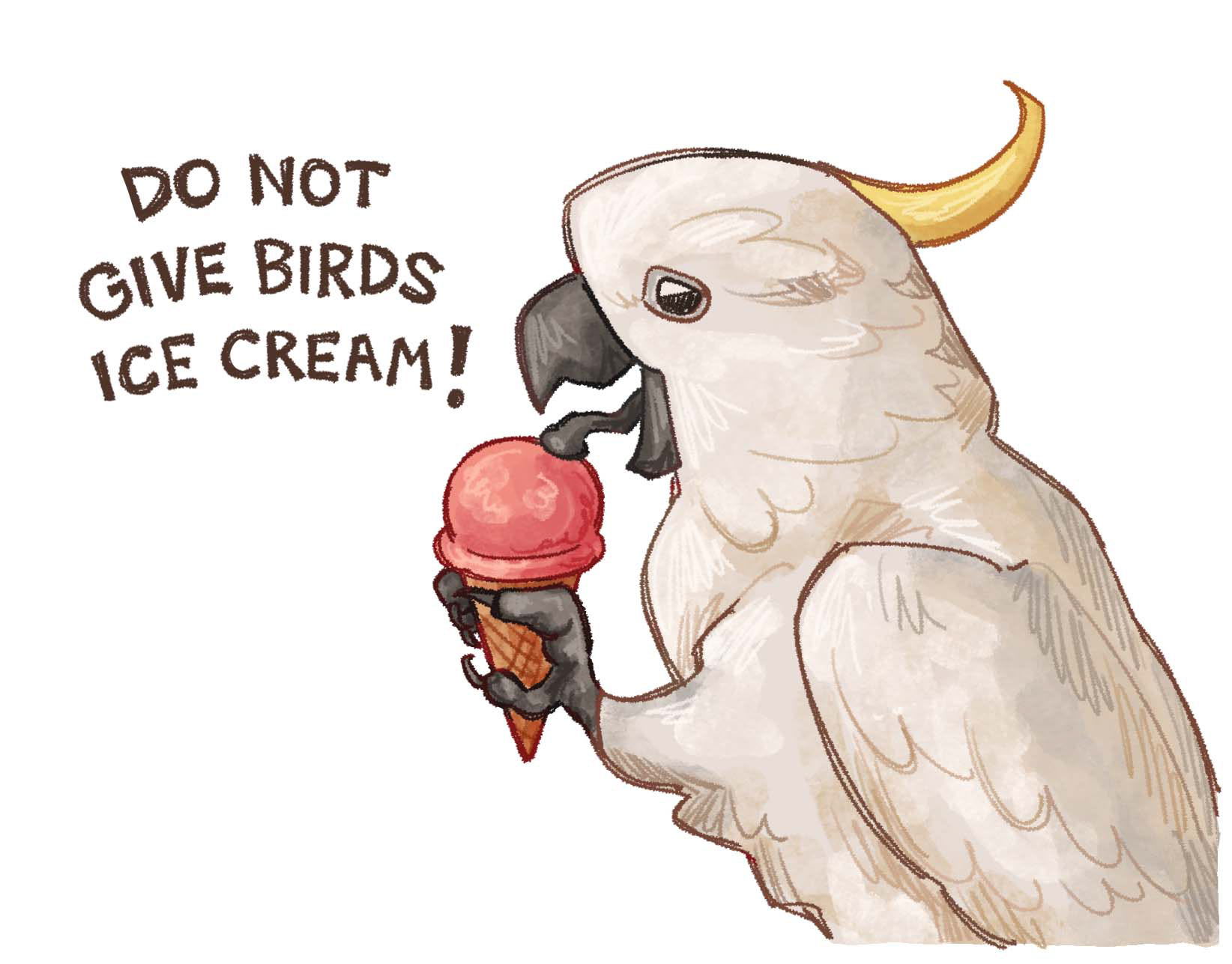 Ice Cream (Spot Illustration for Our Town Publishing)