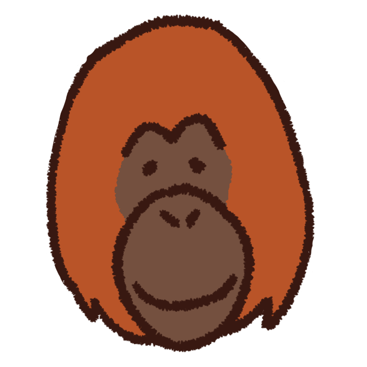 Orangutan