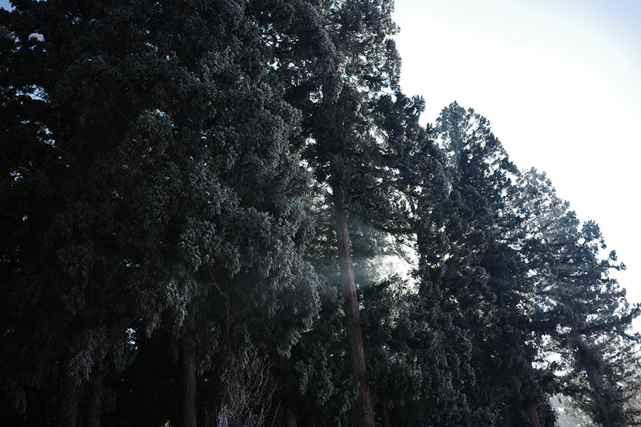  Dec. 2025 – Niigata, Japan – GRIIIx
