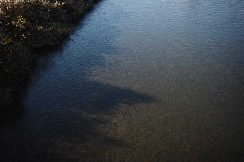 Dec. 2025 – Niigata, Japan – GRIIIx