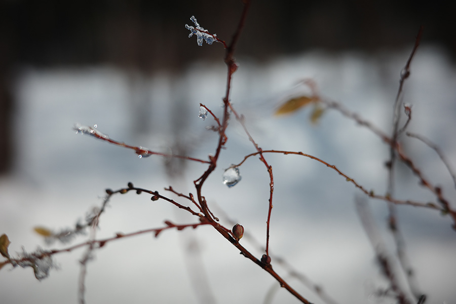 Dec. 2025 – Niigata, Japan – GRIIIx 