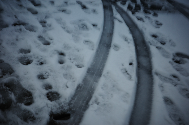 Dec. 2025 – Niigata, Japan – GRIIIx