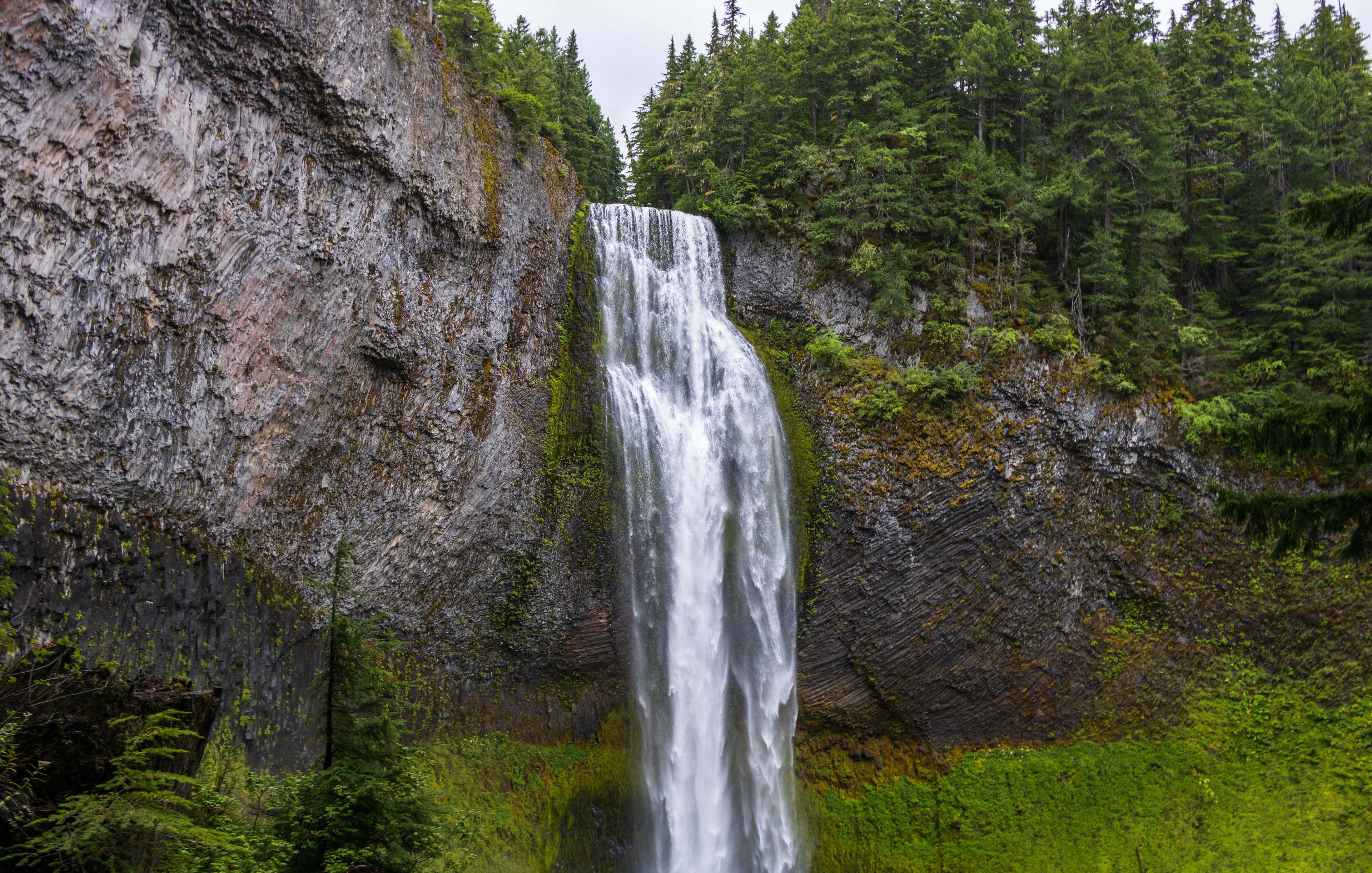 Salt Creek Falls, 2024