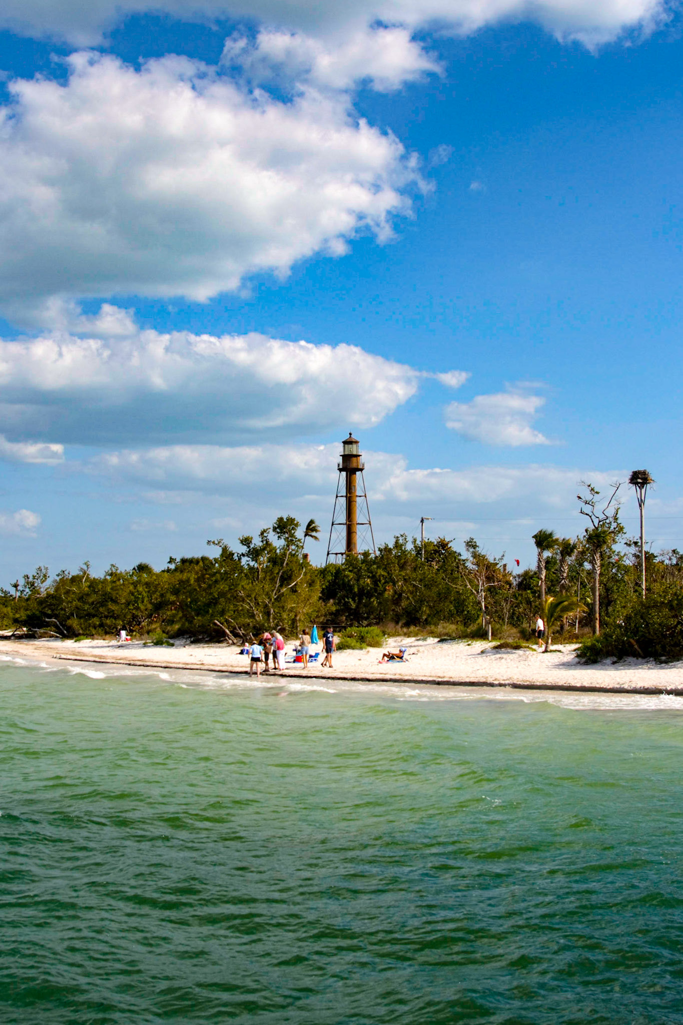 Lighthouse, Ocean, and Birds