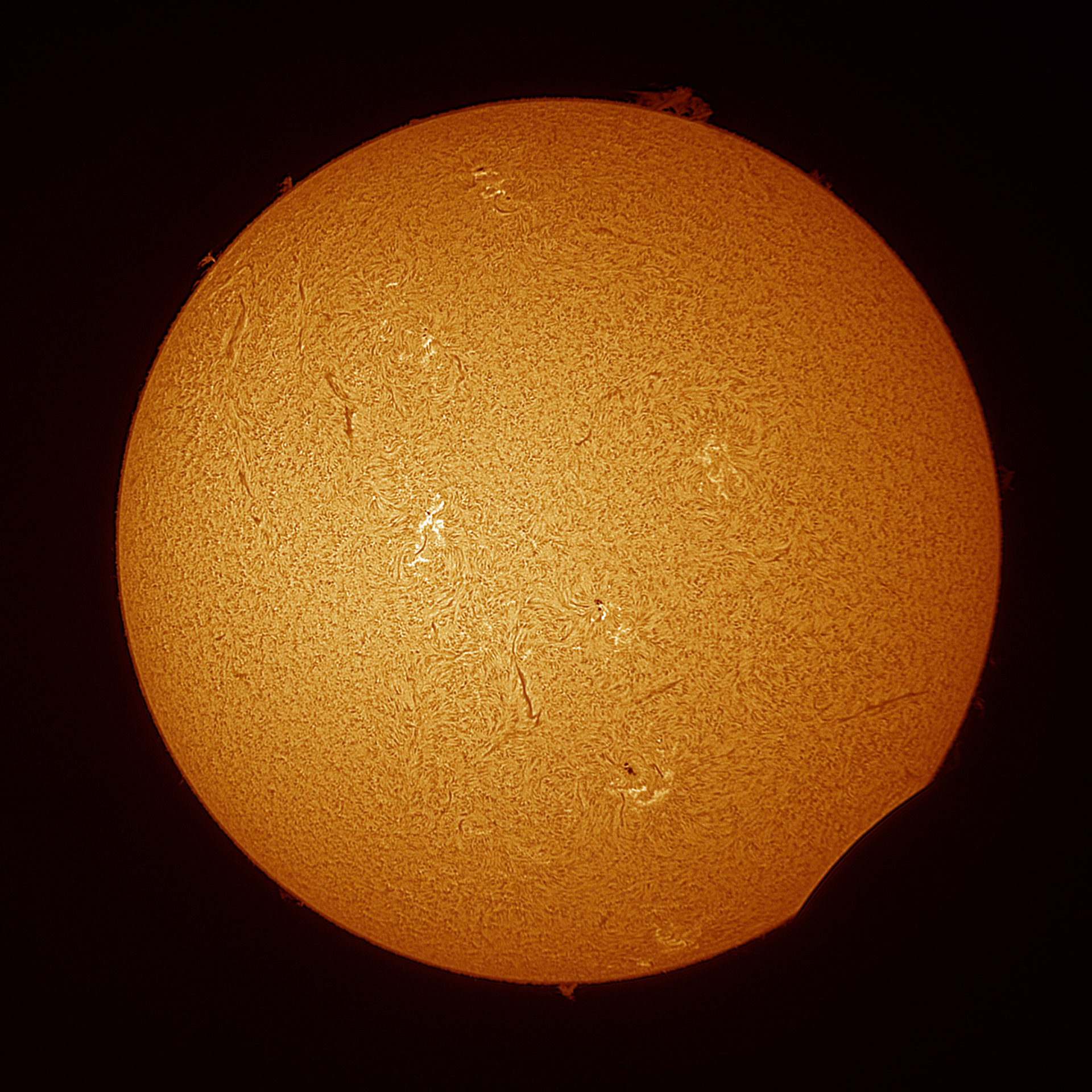 Captured with Lunt 40mm Solar Telescope with ZWO Camera via FireCapture