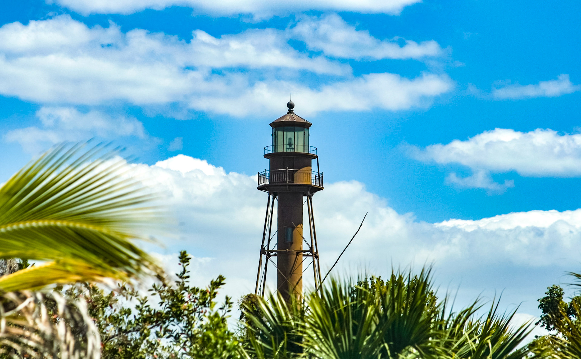 Lighthouse, Ocean, and Birds