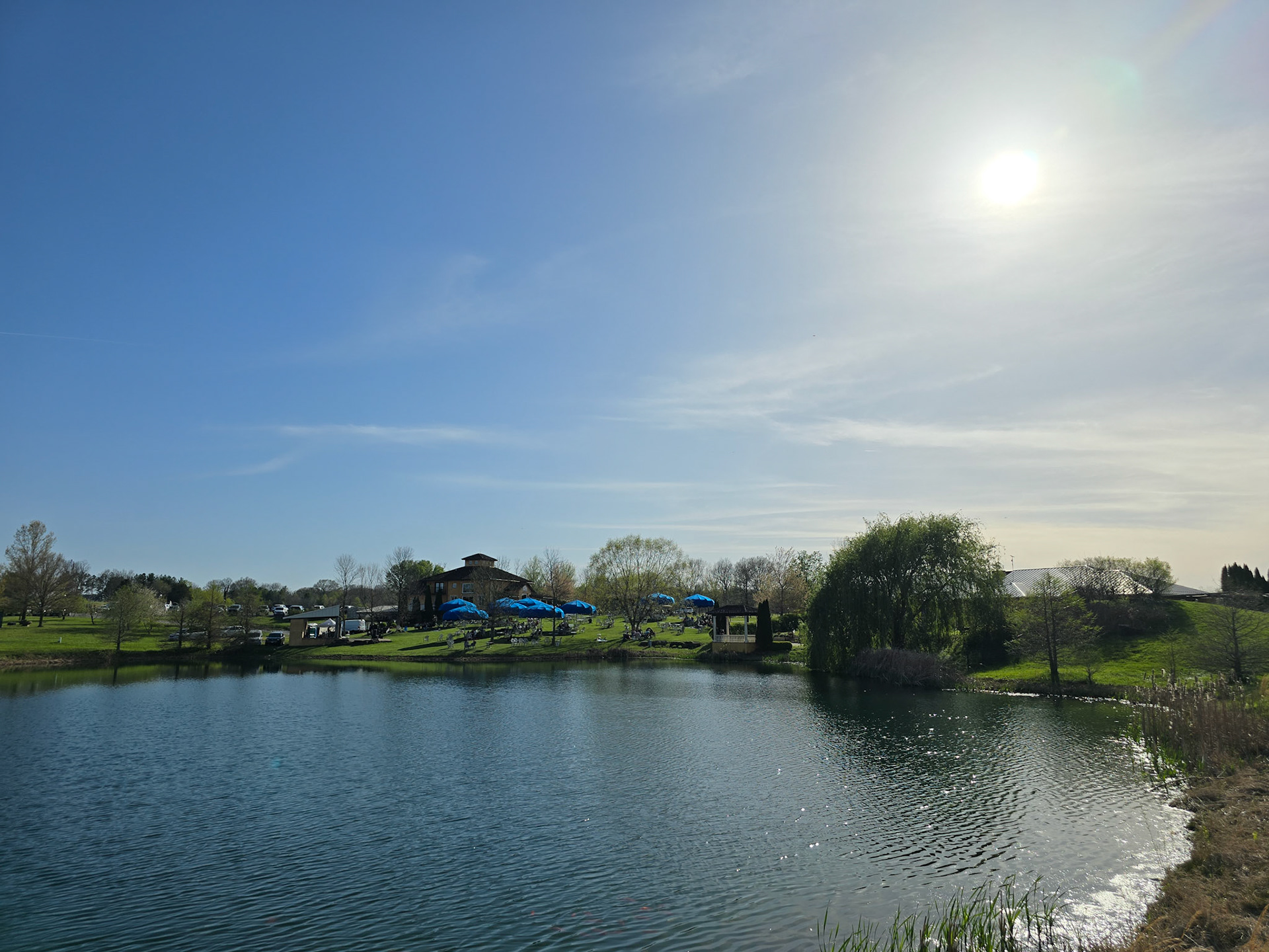Post Eclipse afternoon at Blue Sky Winery