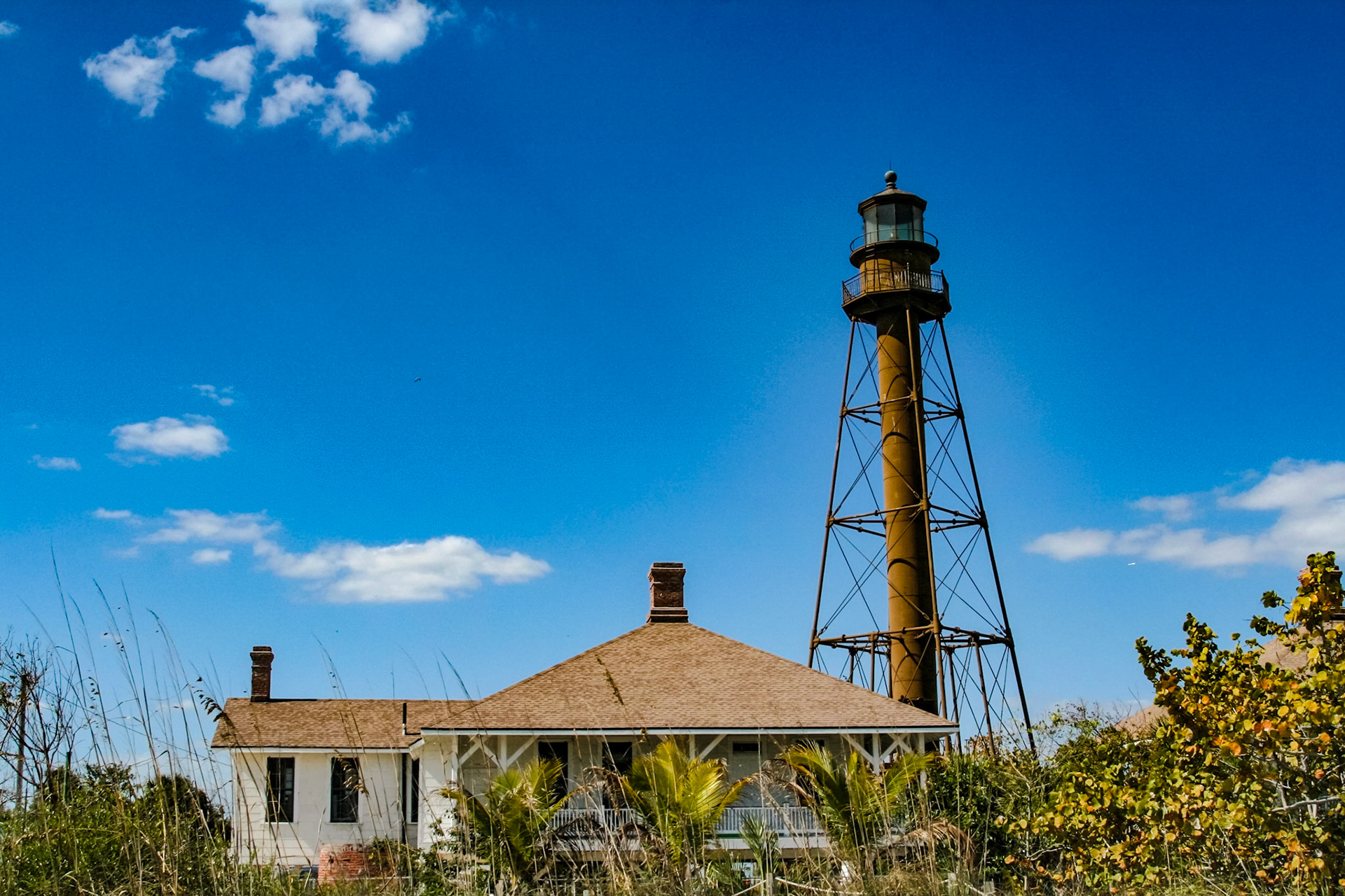 Lighthouse, Ocean, and Birds
