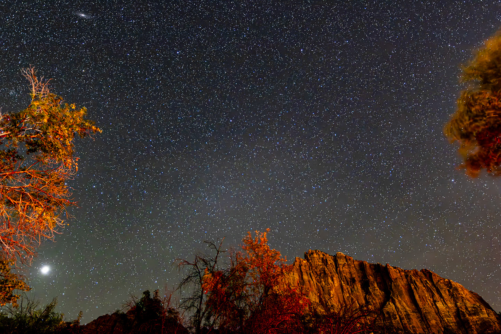 Clear night over The Watchman in Zion National Park