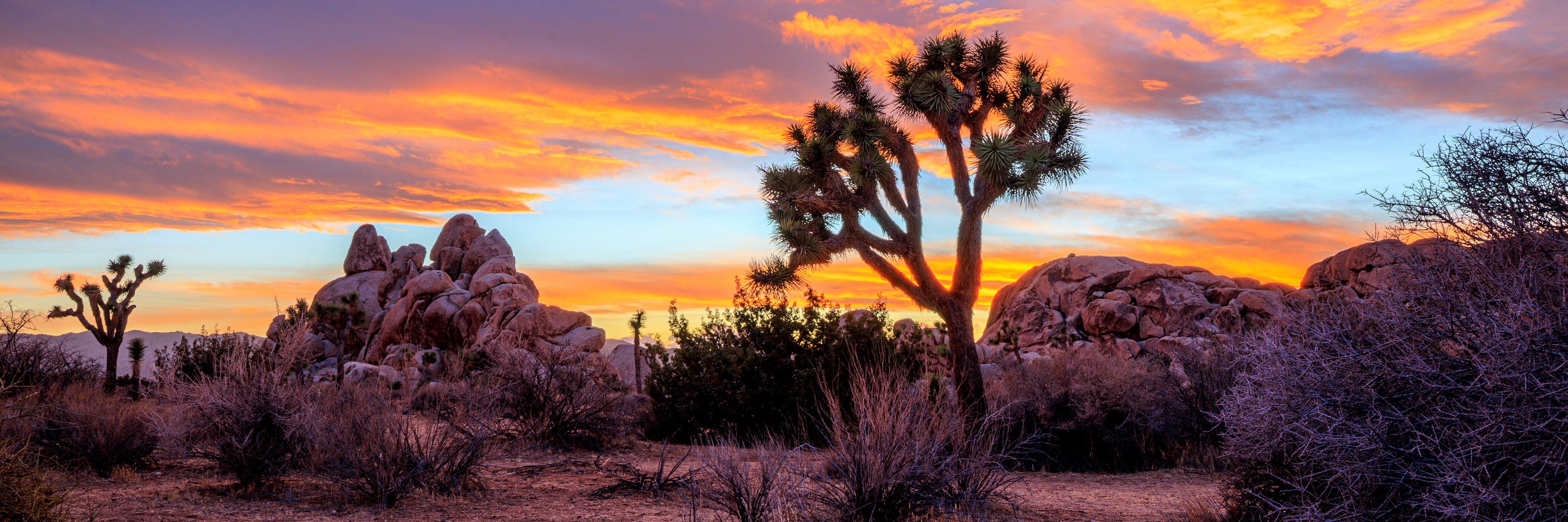 Sunset over Joshua Tree National Park