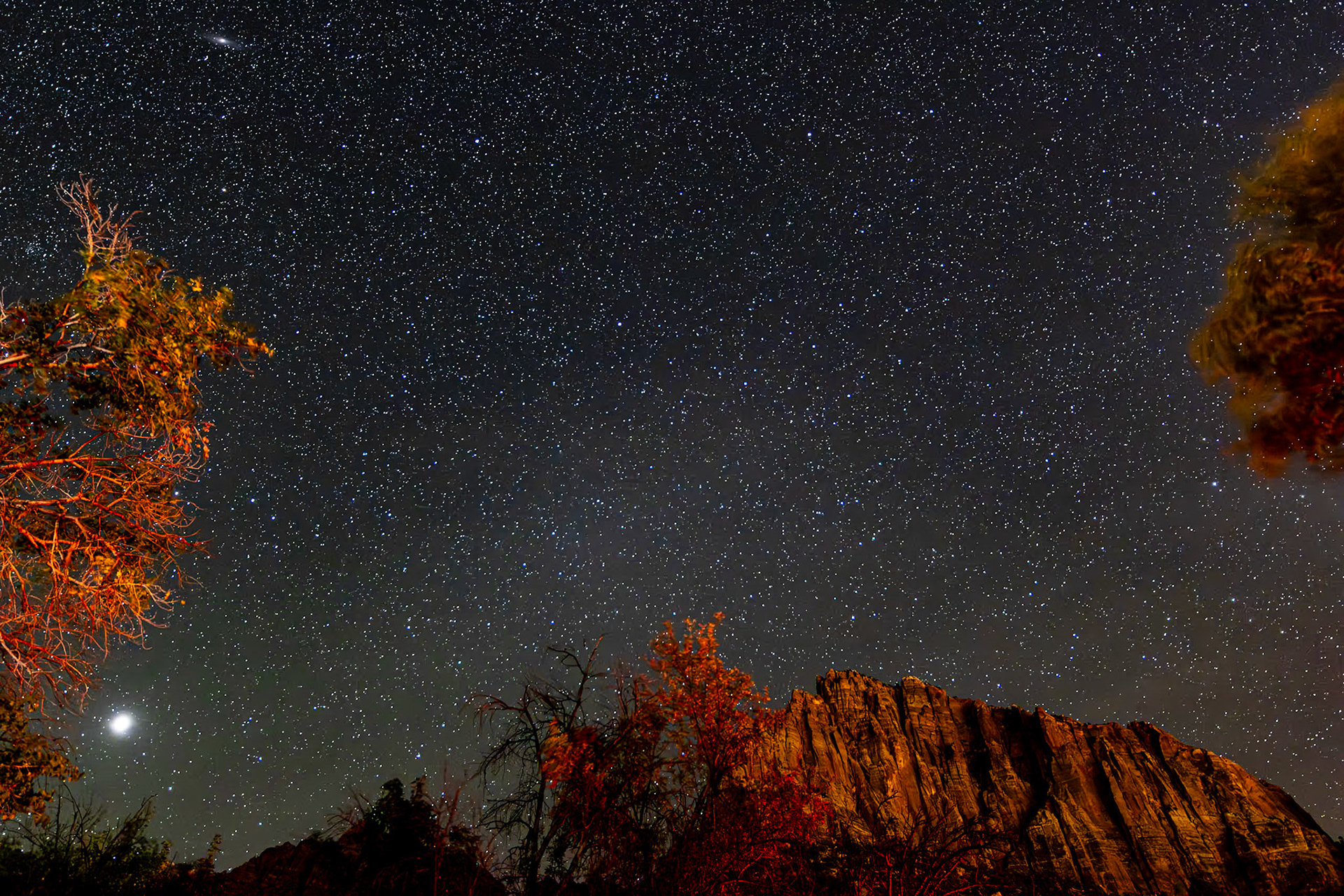 Zion National Park