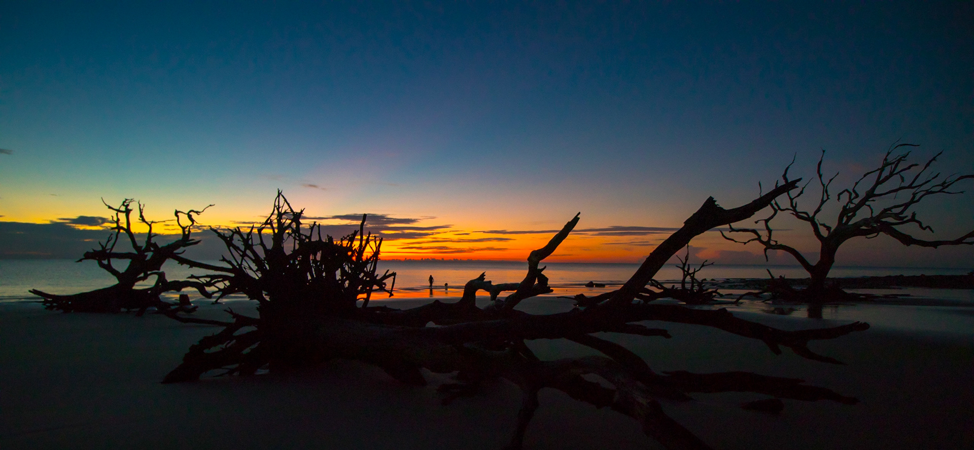 Jekyll Island - Driftwood Beach