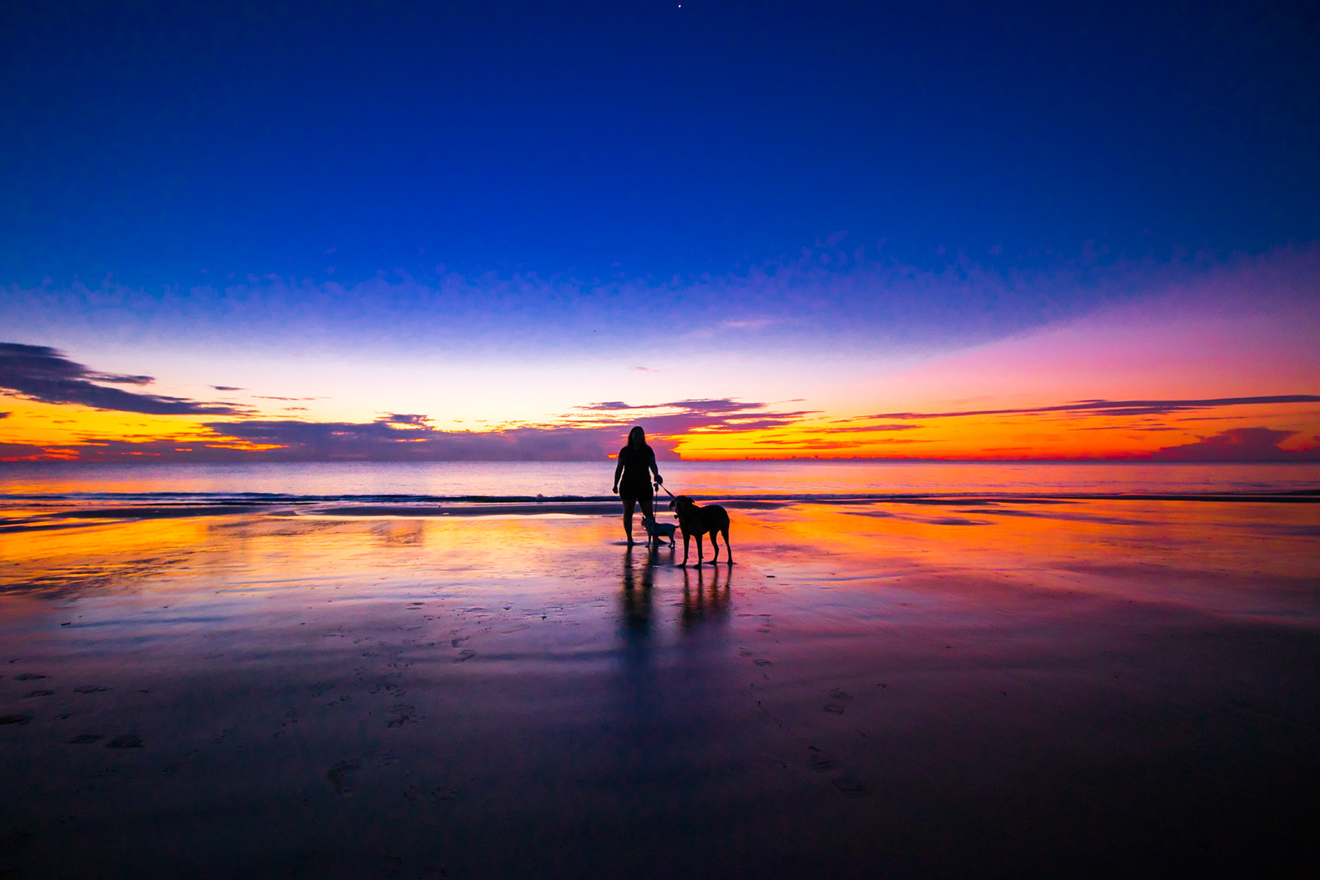 Jekyll Island - Driftwood Beach