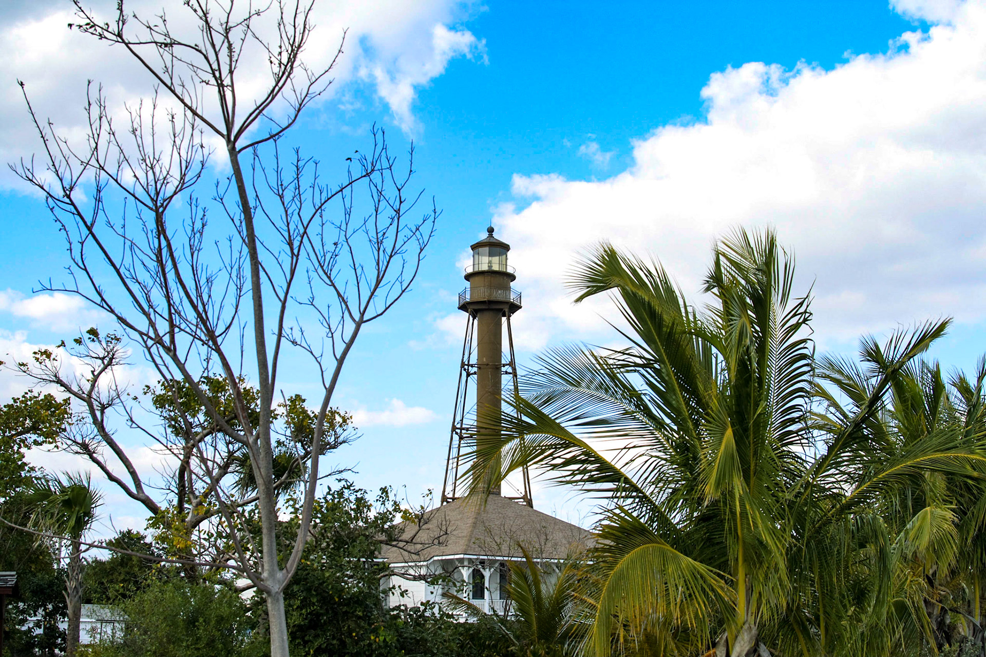 Lighthouse, Ocean, and Birds