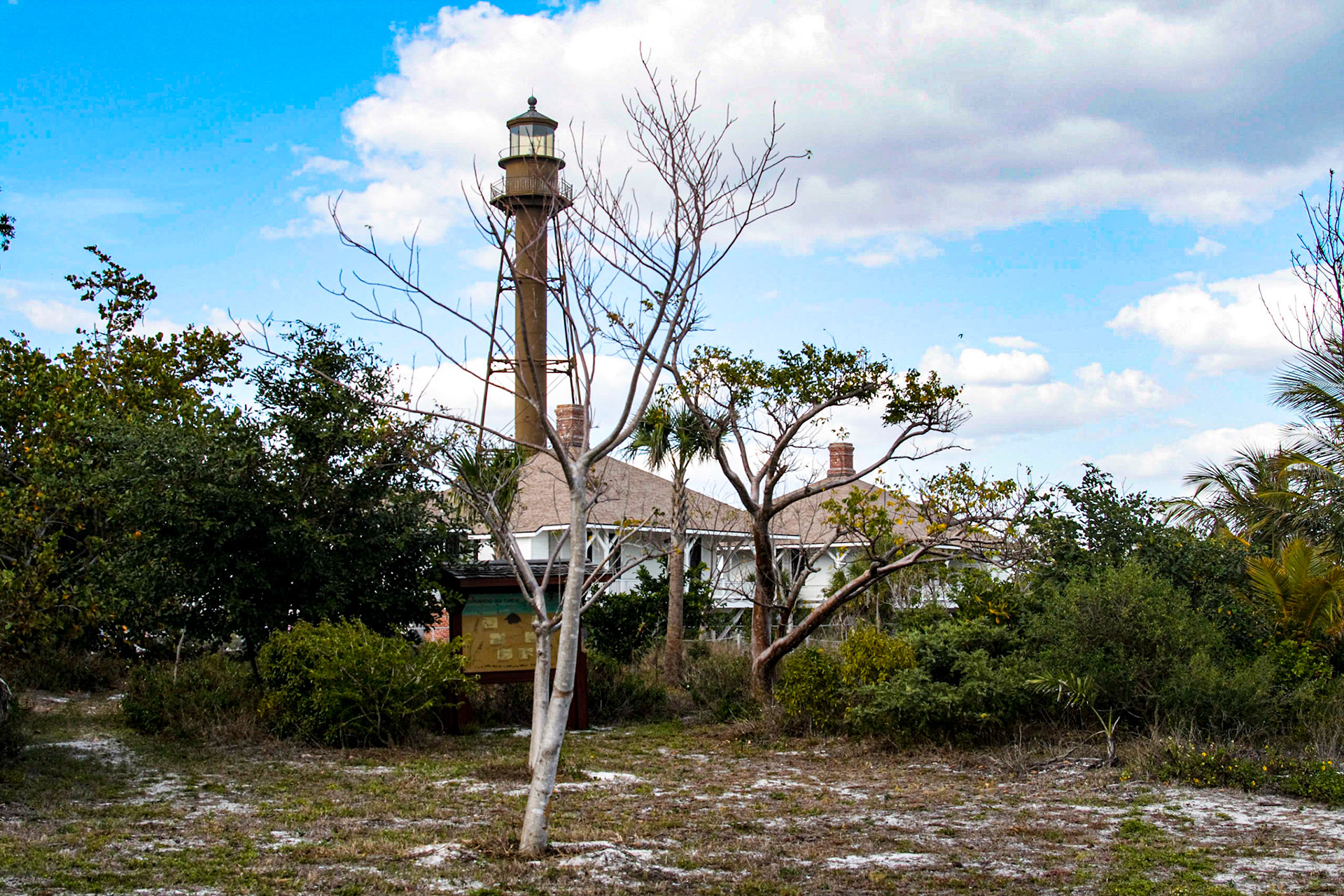 Lighthouse, Ocean, and Birds