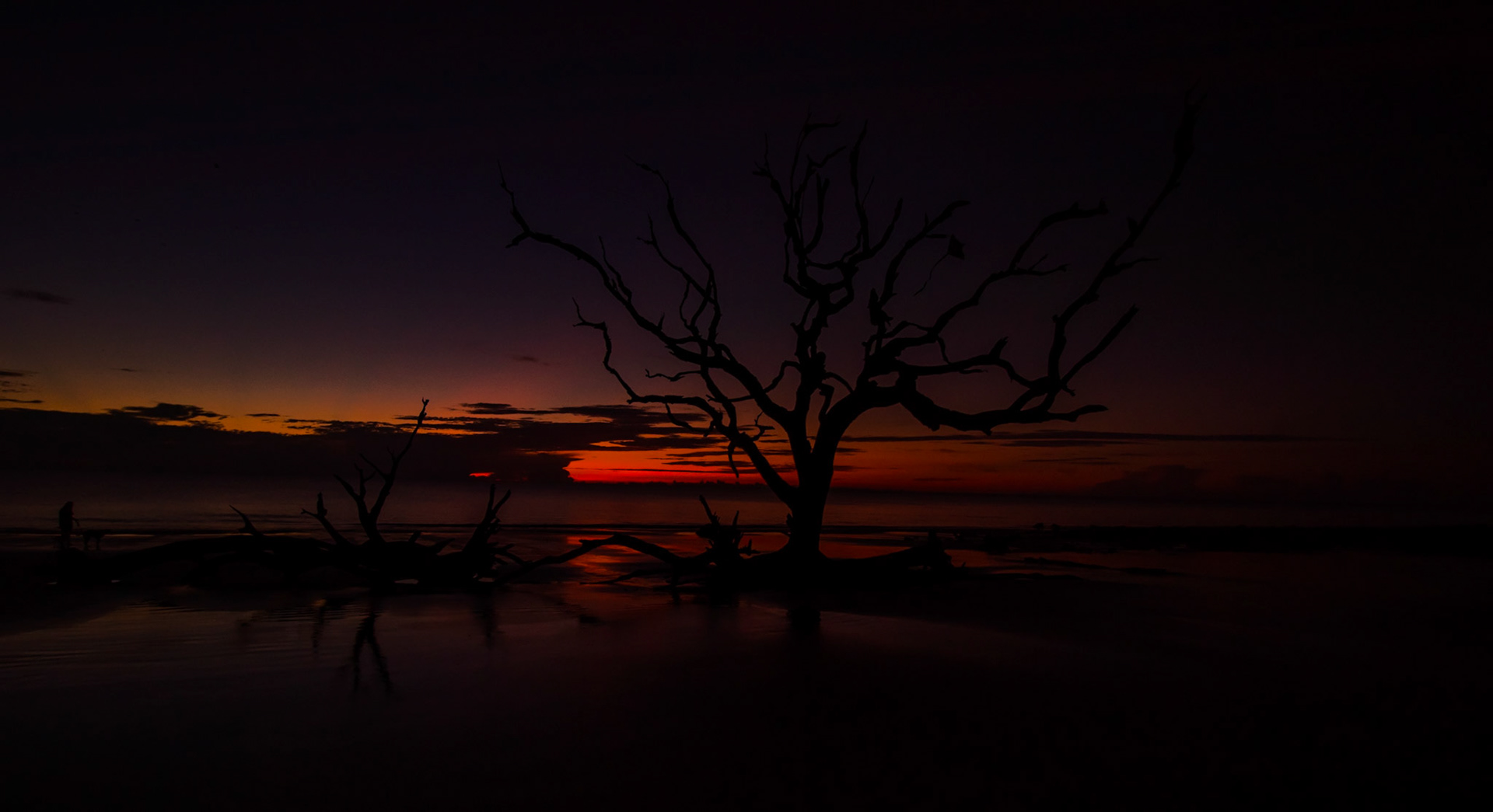 Jekyll Island - Driftwood Beach