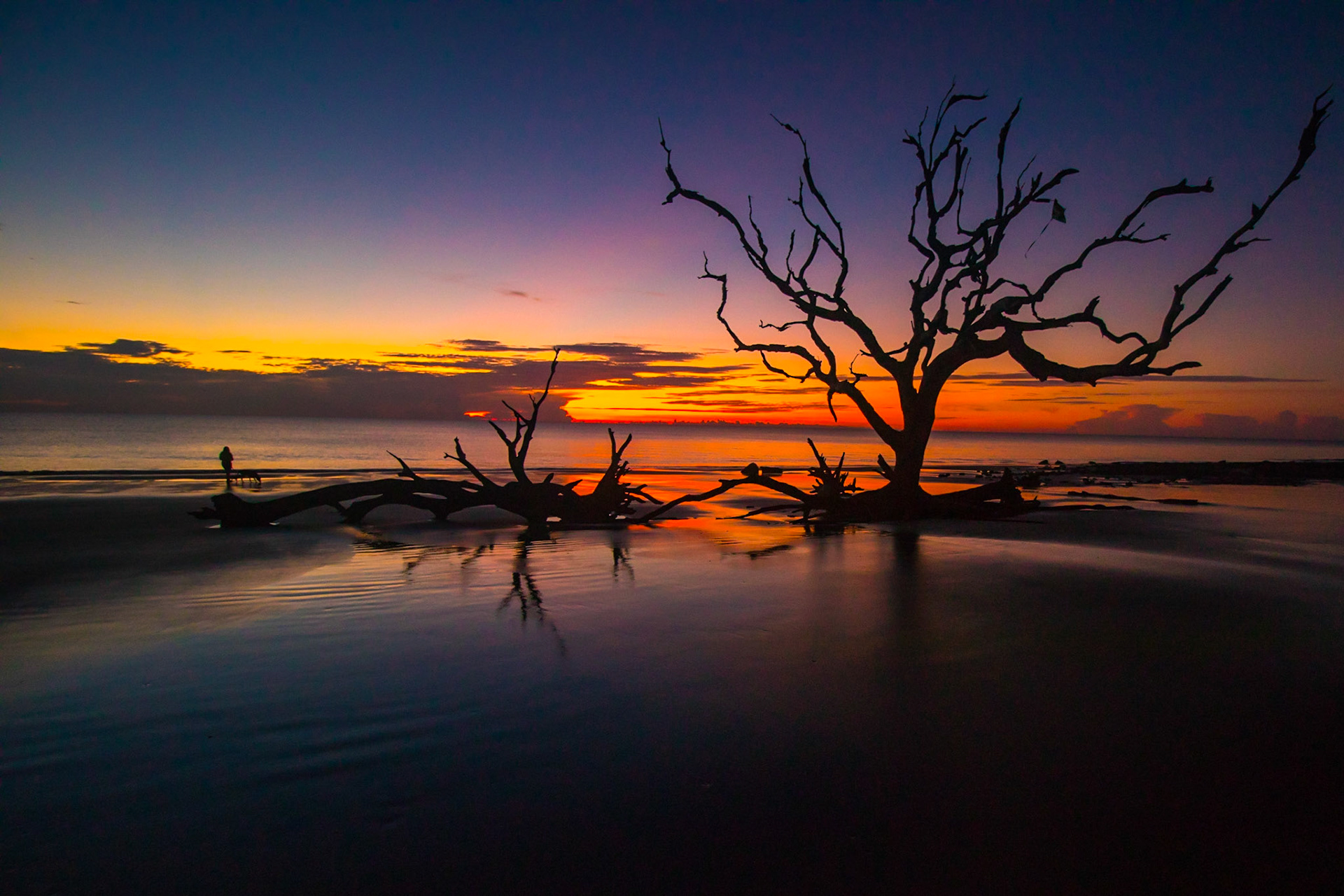 Jekyll Island - Driftwood Beach
