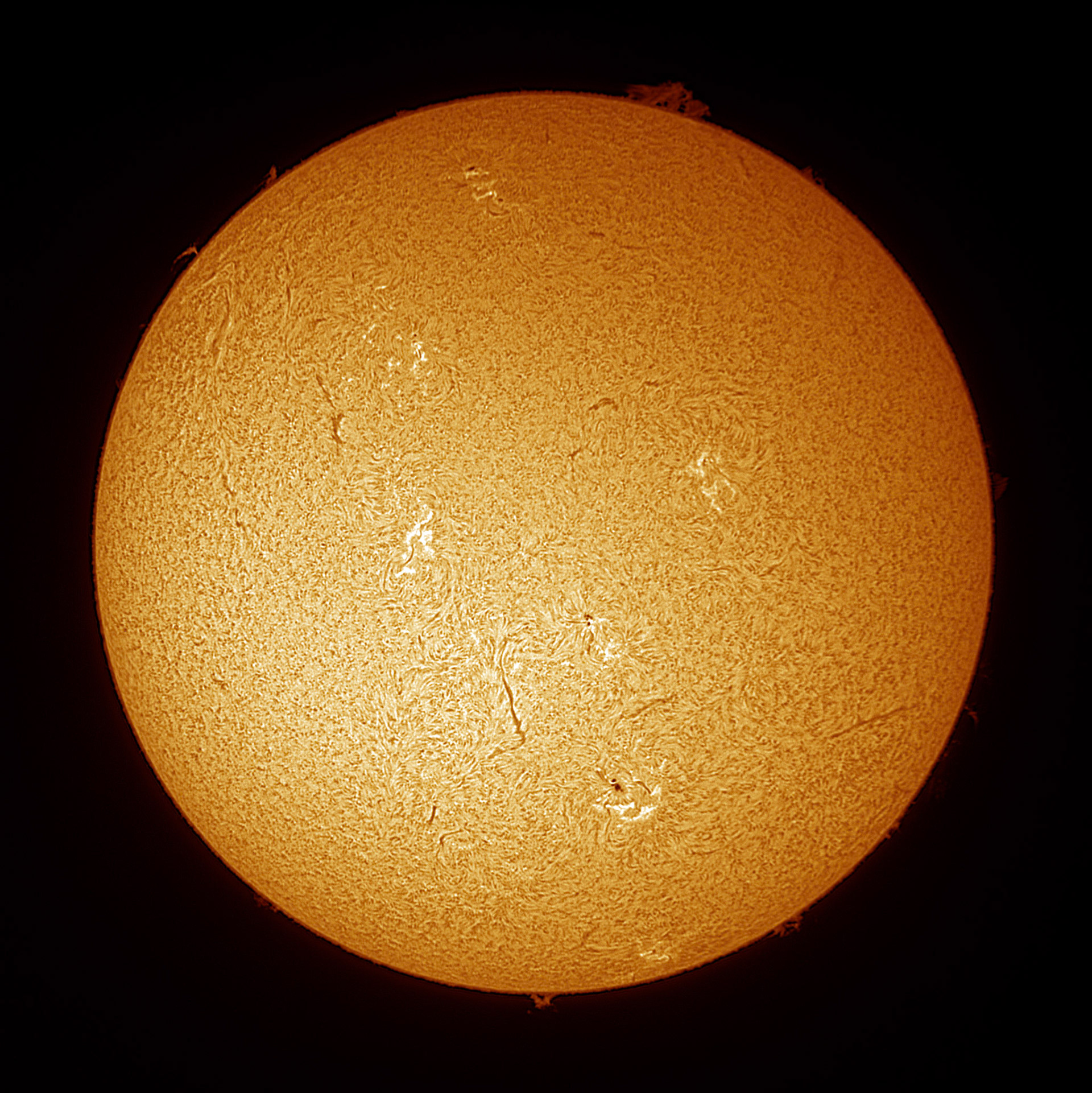 Captured with Lunt 40mm Solar Telescope with ZWO Camera via FireCapture