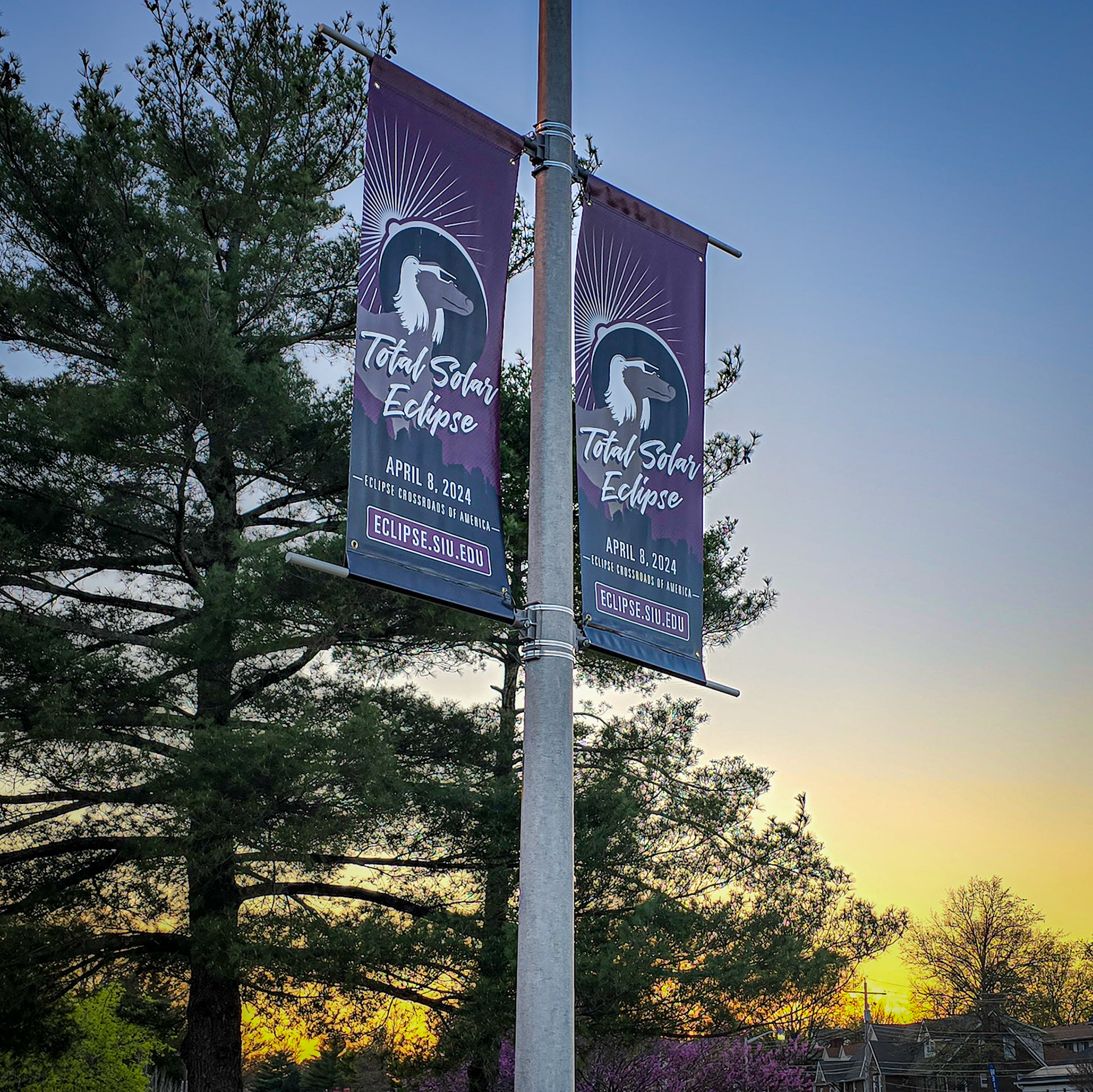 Eclipse Pole Banners on the Campus of Southern Illinois University in Carbondale.