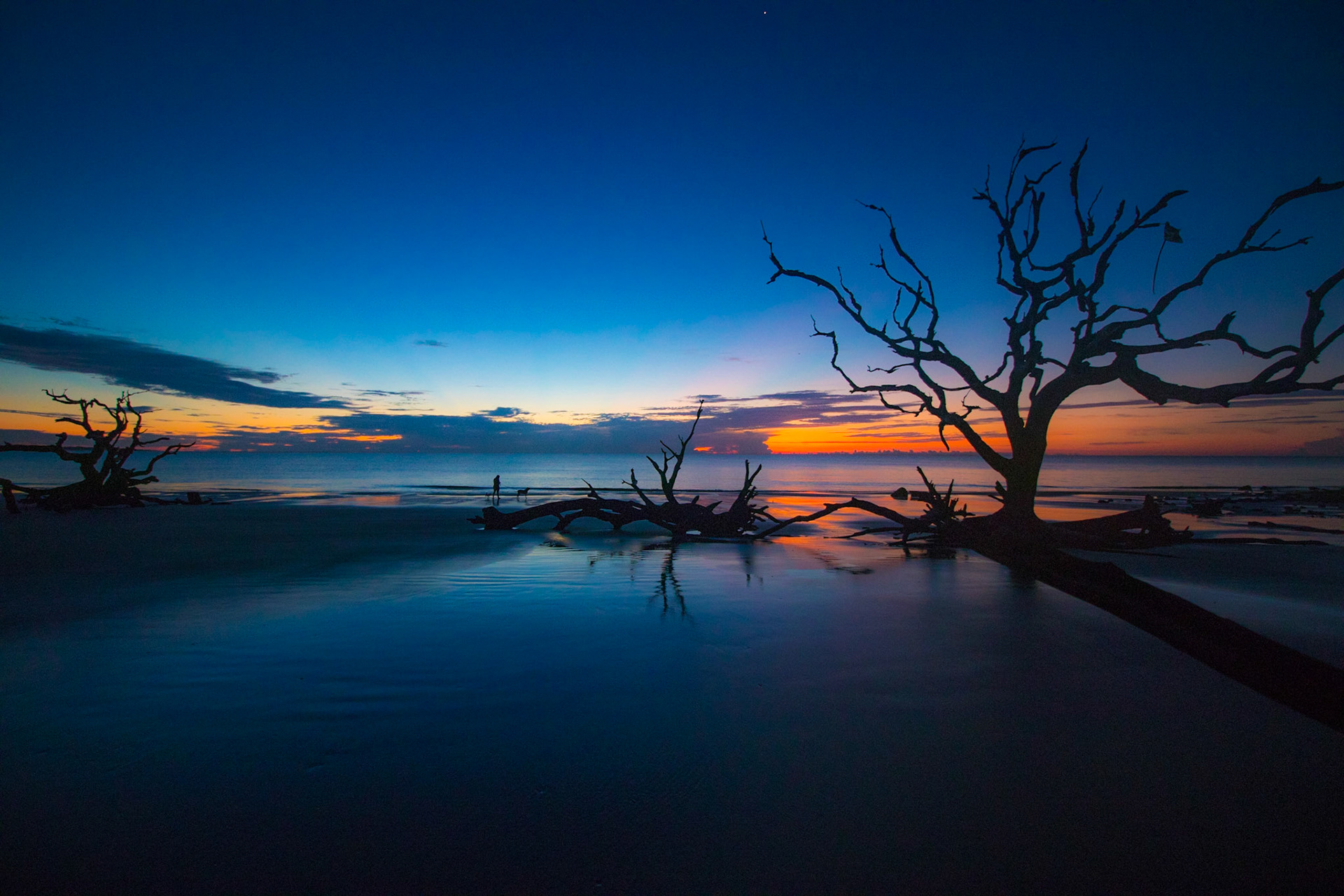 Jekyll Island - Driftwood Beach