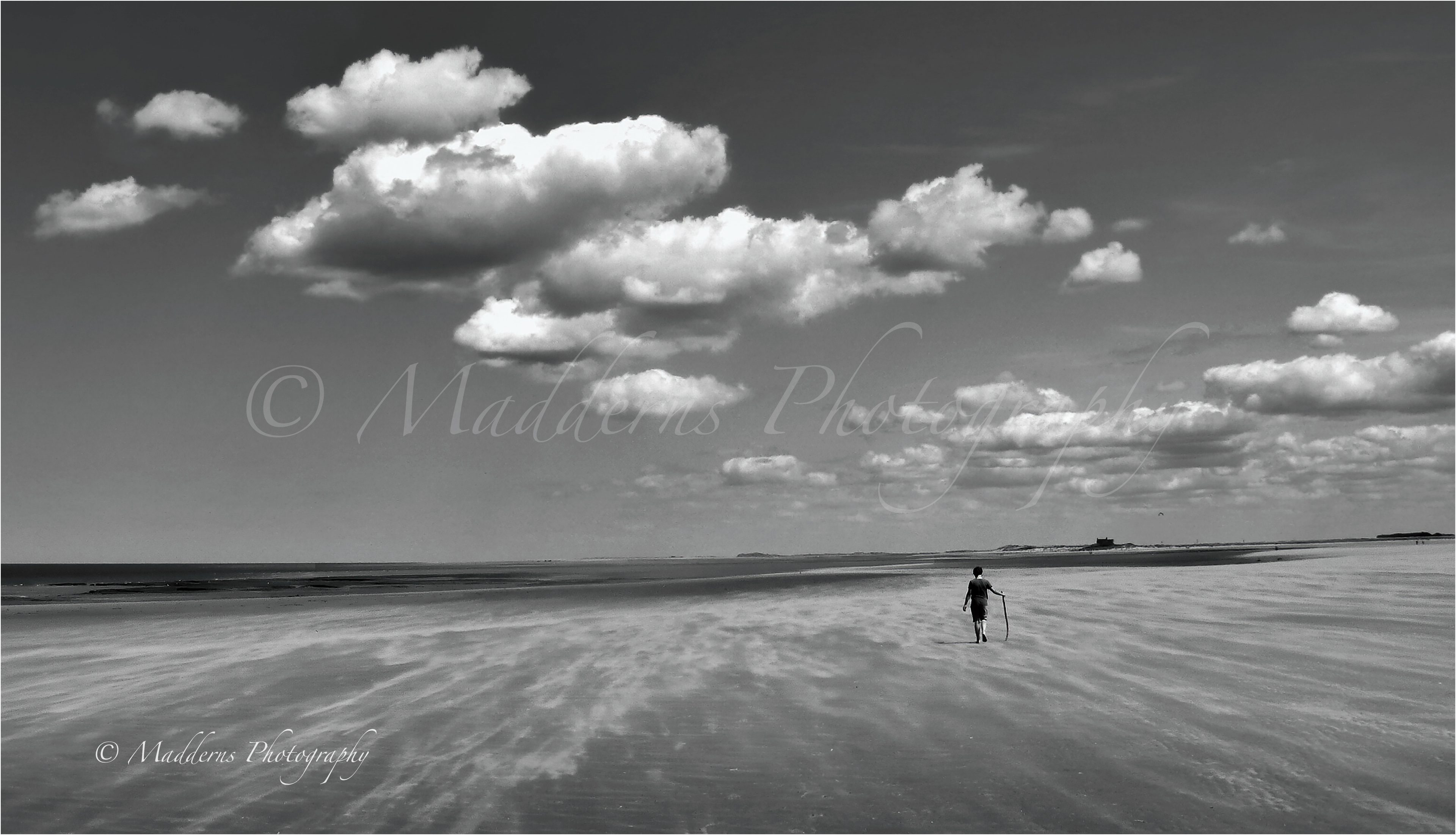 Walking Lonely as a Cloud