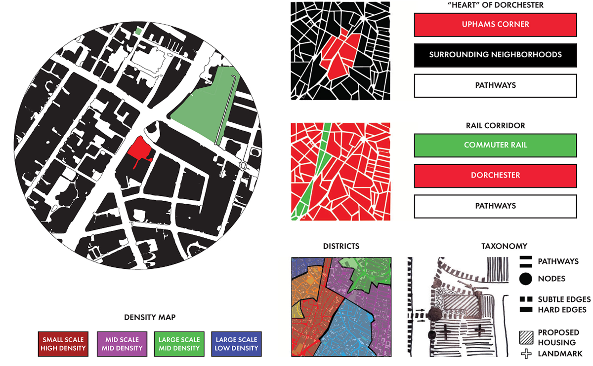 Uphams Corner Studio Morphology/Taxonomy