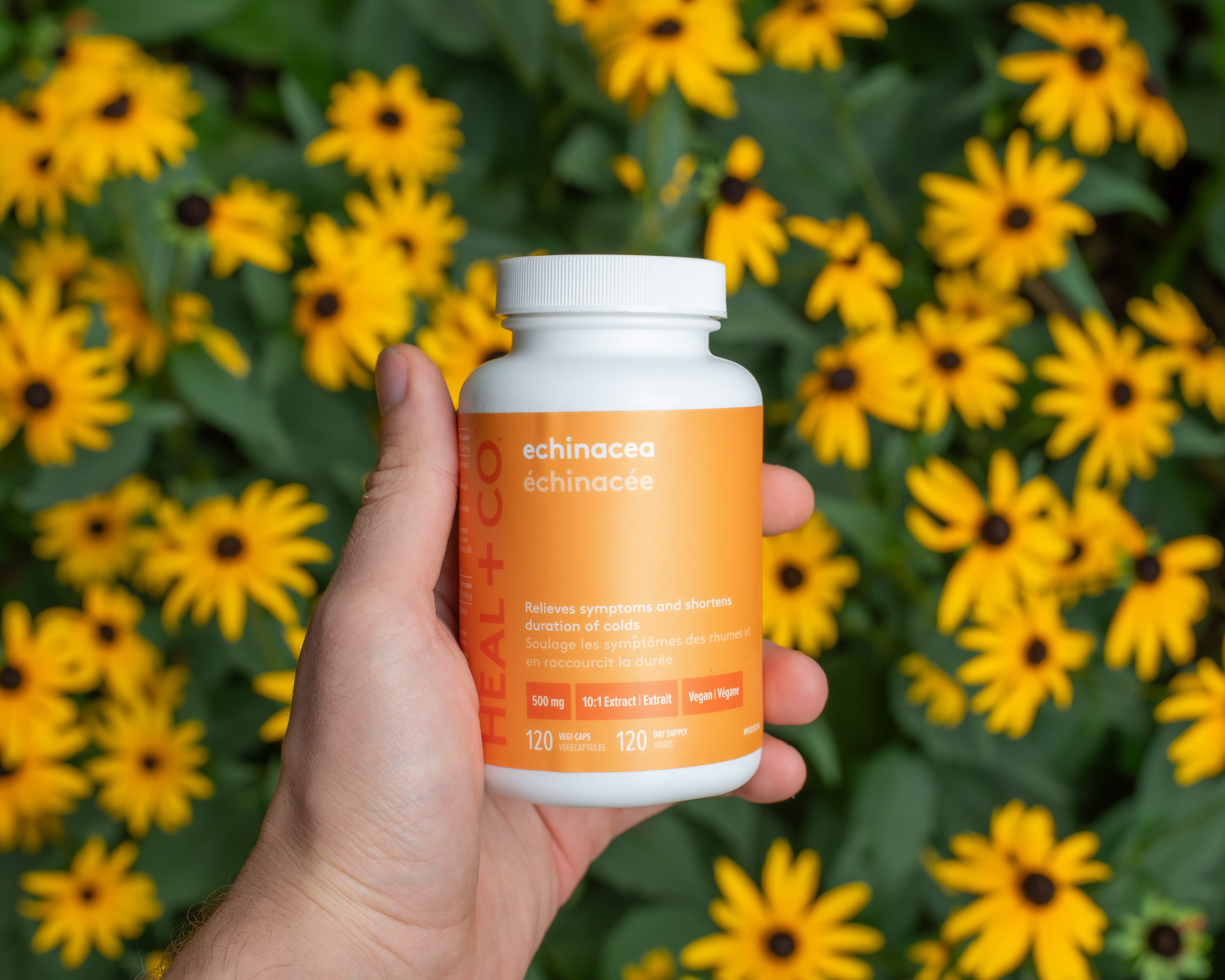 Picture: Enzo Gabrielloni Rossi