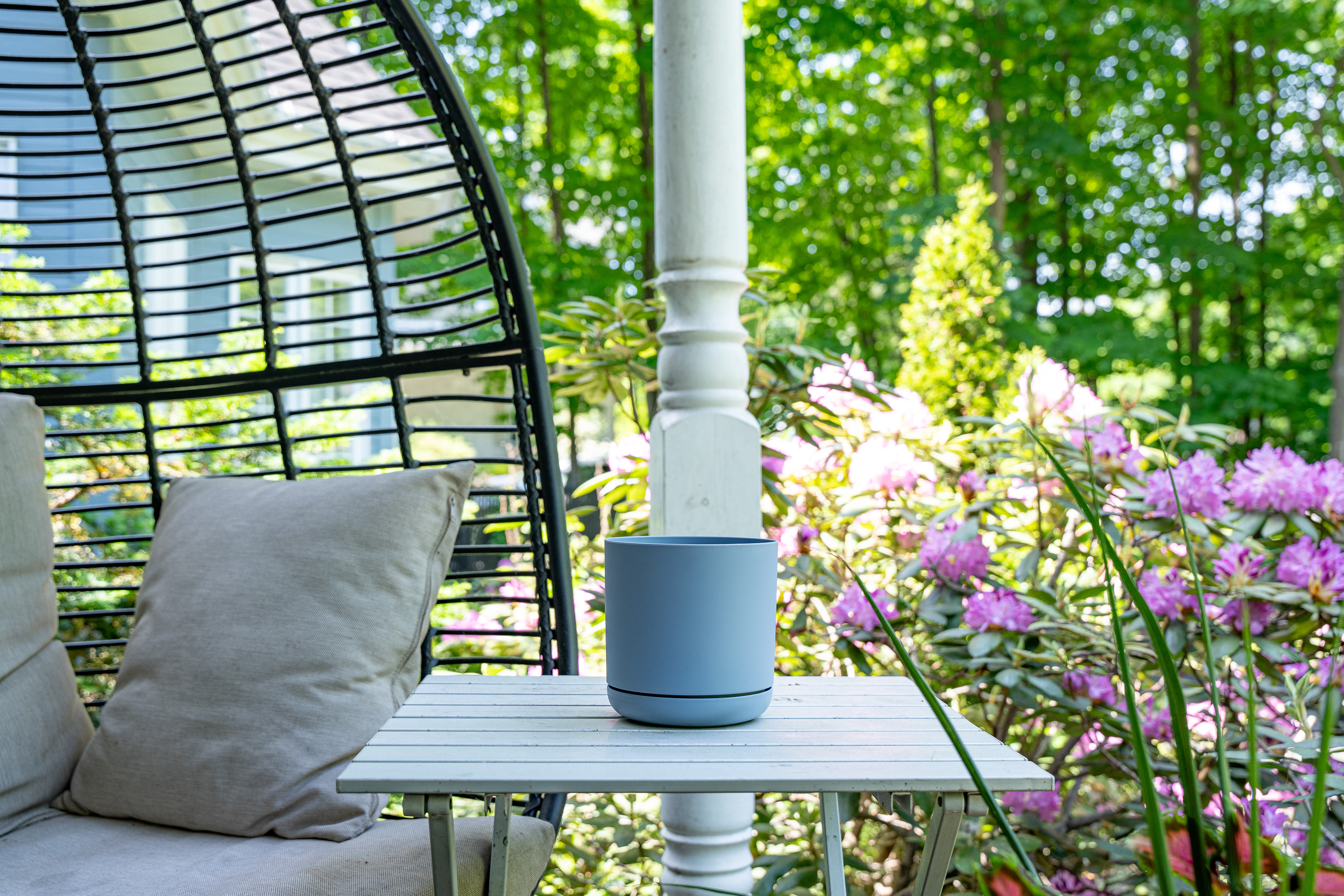 Picture: Enzo Gabrielloni Rossi