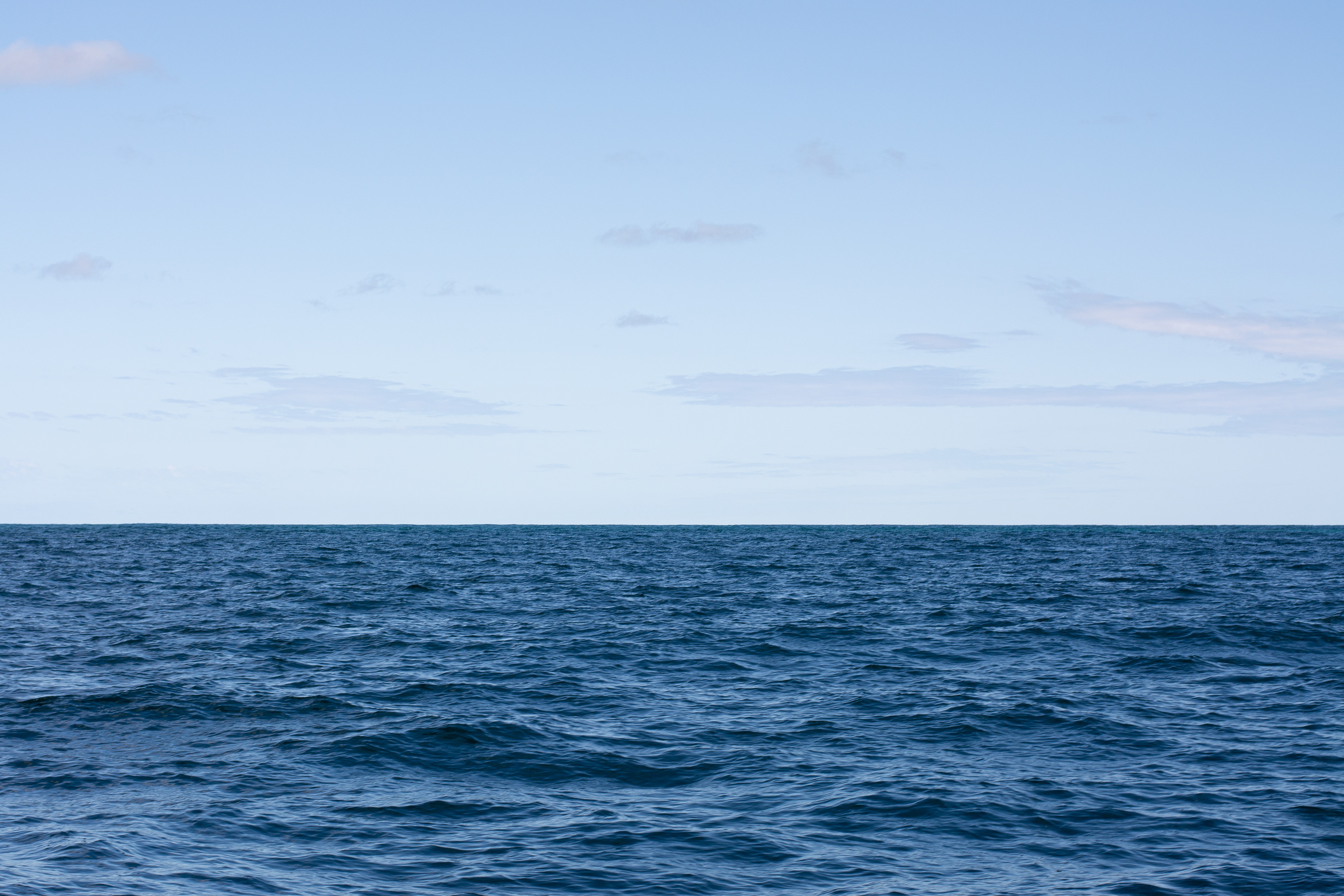 Picture: Enzo Gabrielloni Rossi