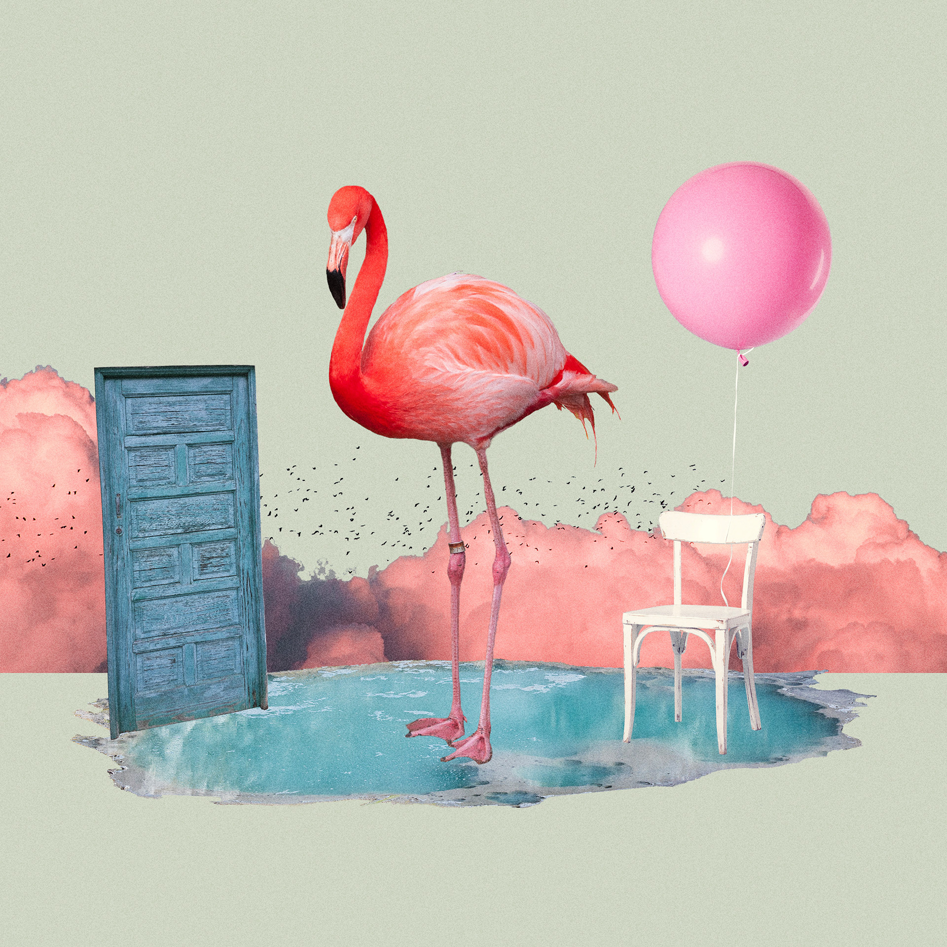 Flamingo Dream