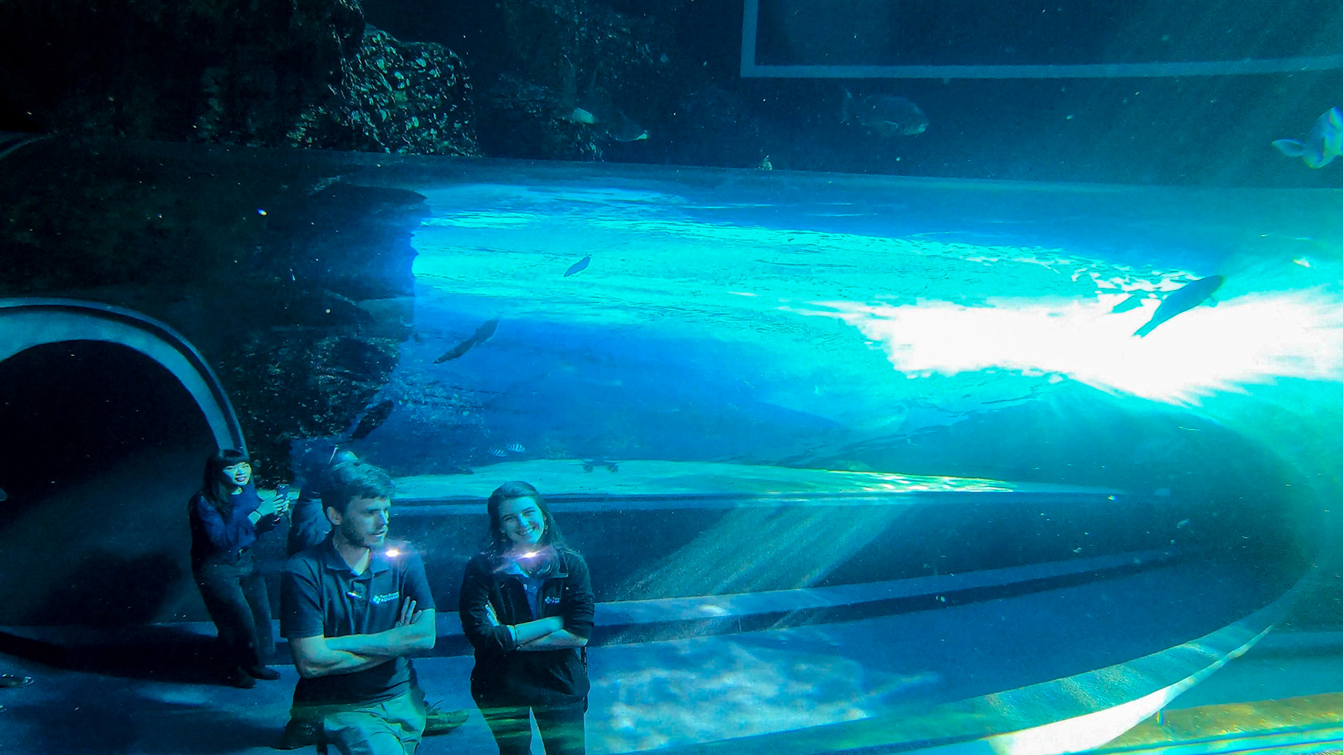 Two Oceans Aquarium ©McNairnPhotography