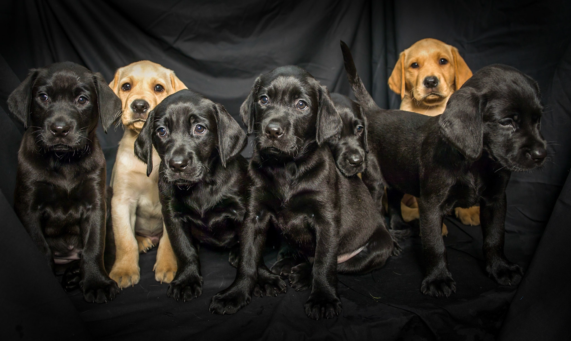 ©McNairnPhotography