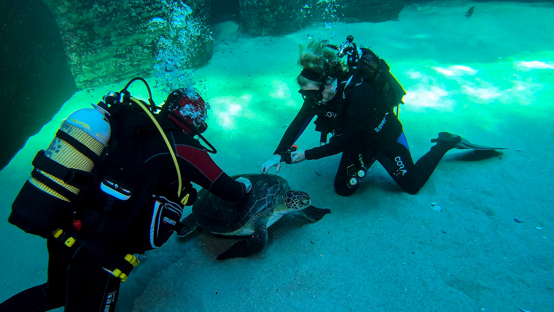 Two Oceans Aquarium ©McNairnPhotography