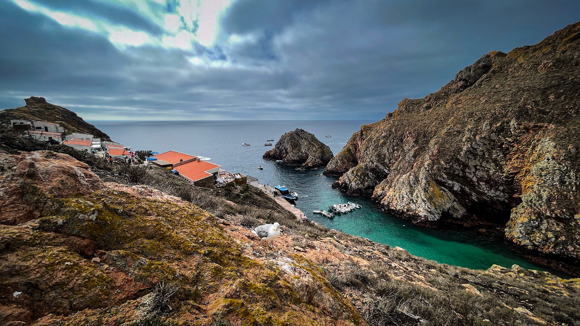 Reserva Natural das Berlengas