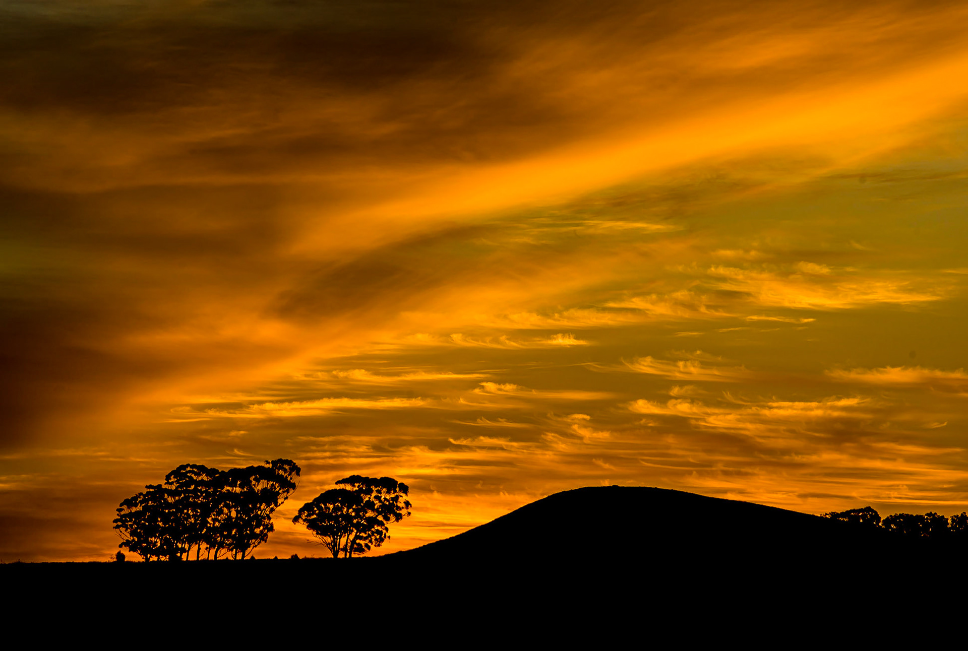 Malmsbury, South Africa ©McNairnPhotography