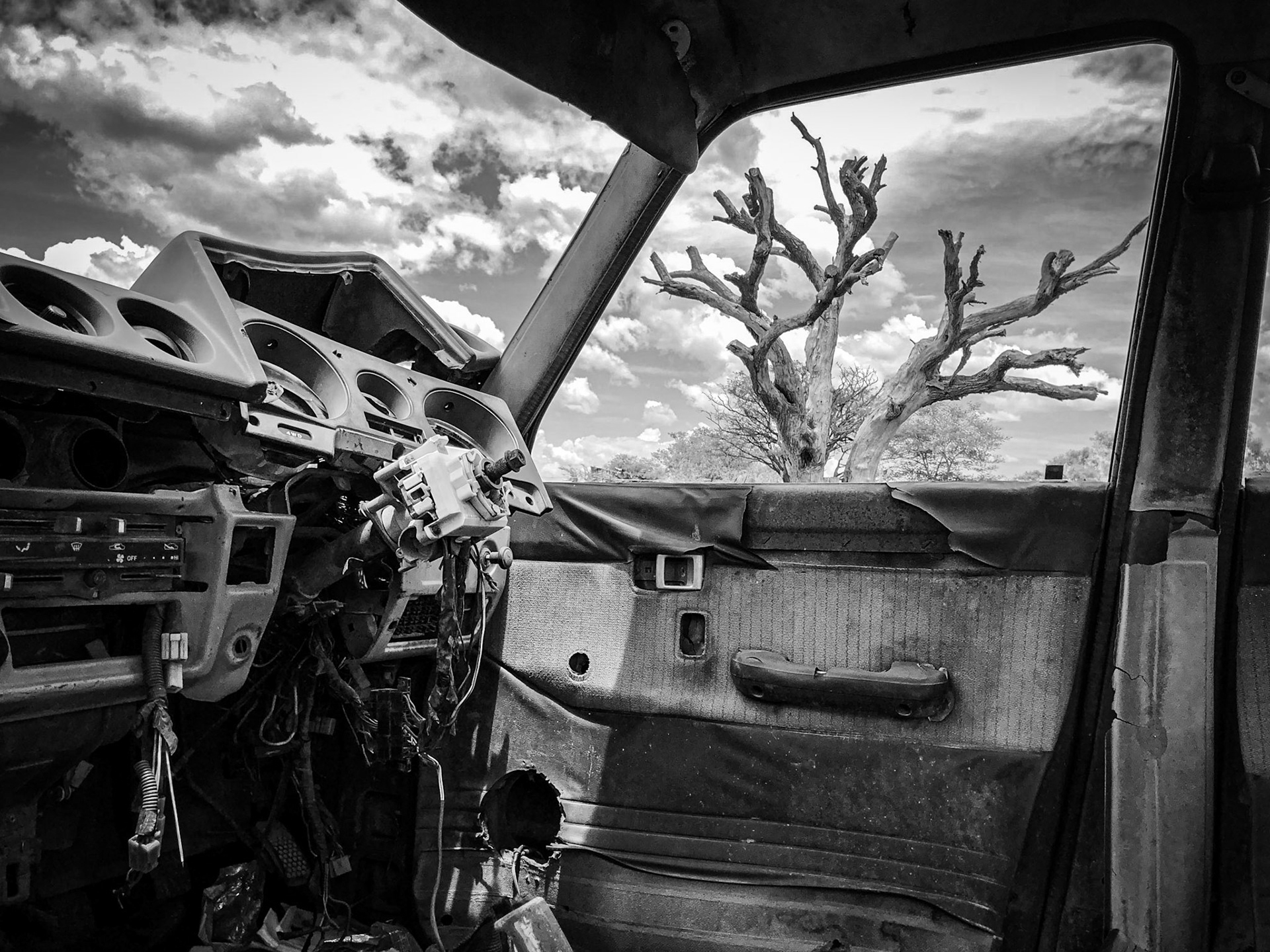 ©McNairnPhotography