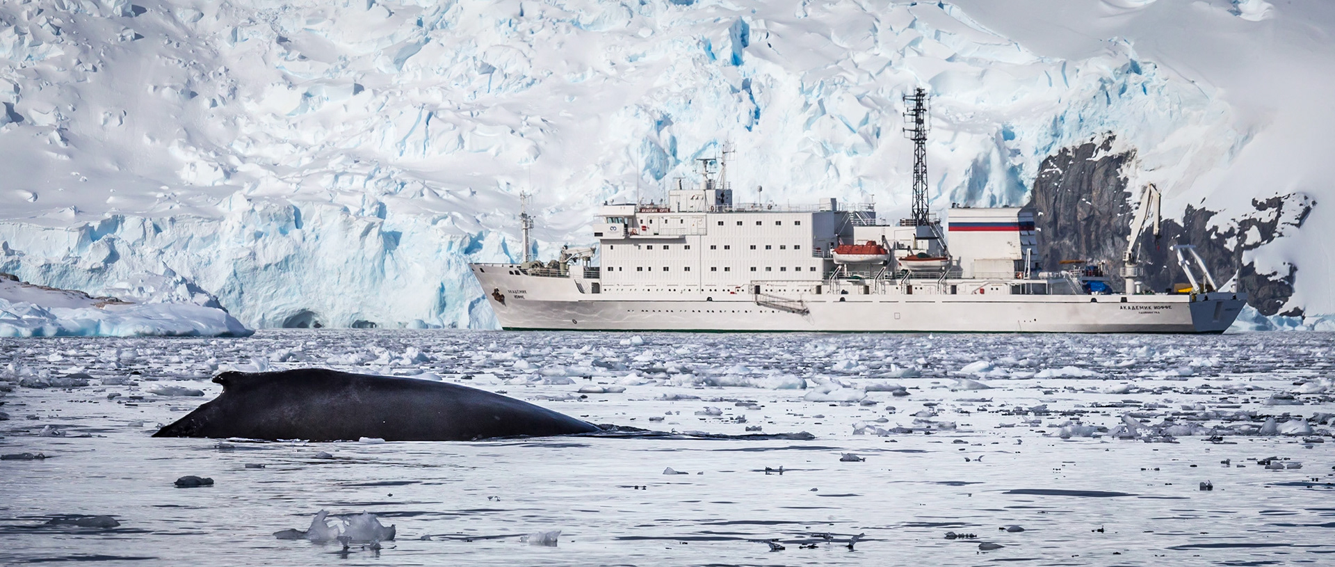 ©McNairnPhotography