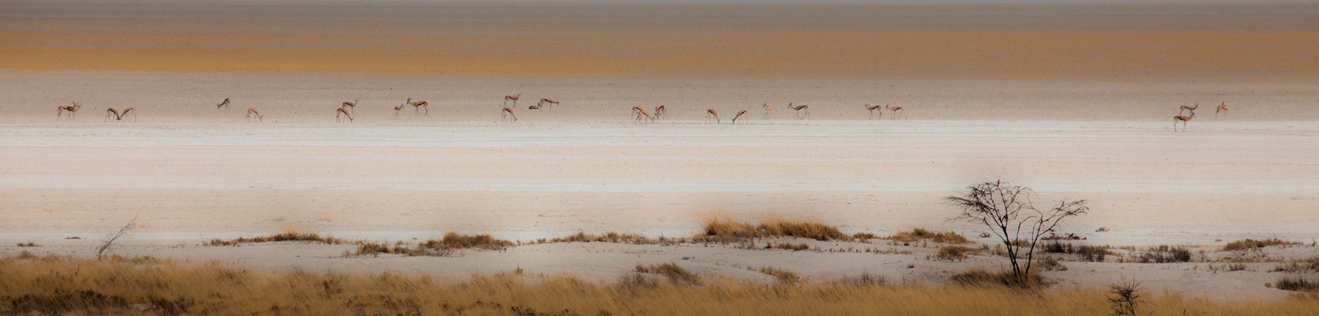 ©McNairnPhotography