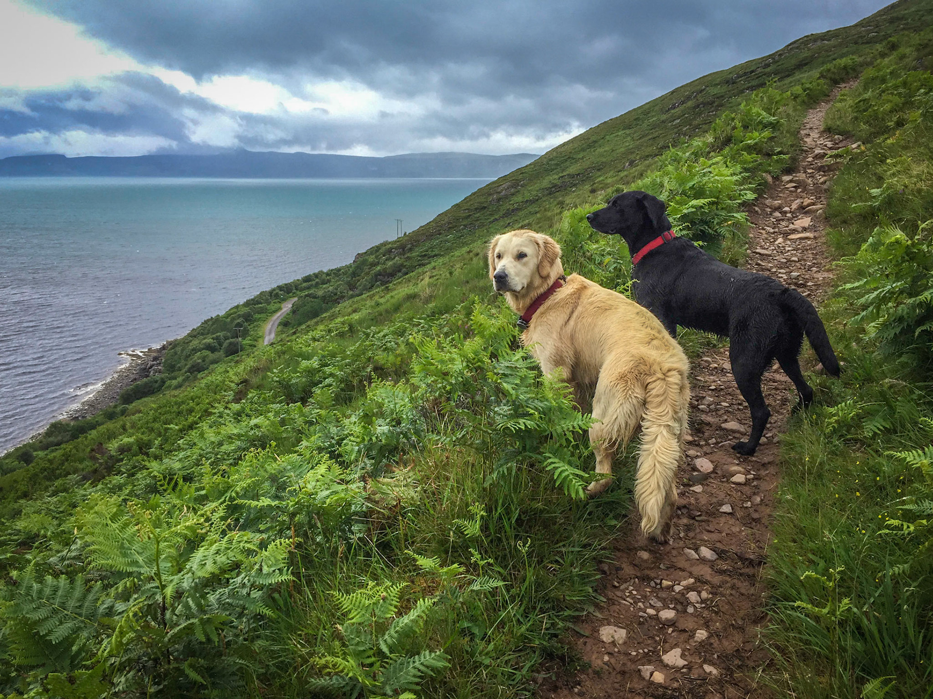 Scottish Highlands ©McNairnPhotography