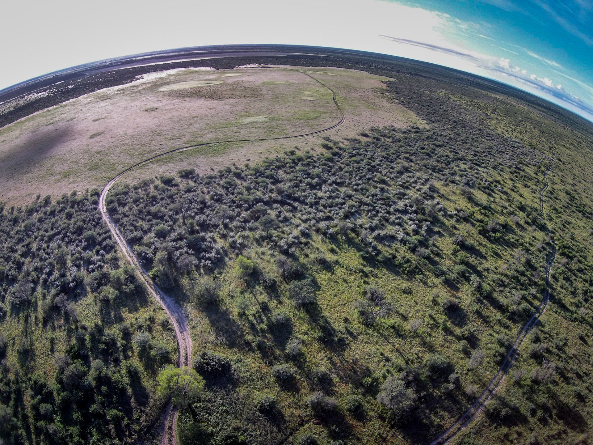 ©McNairnPhotography