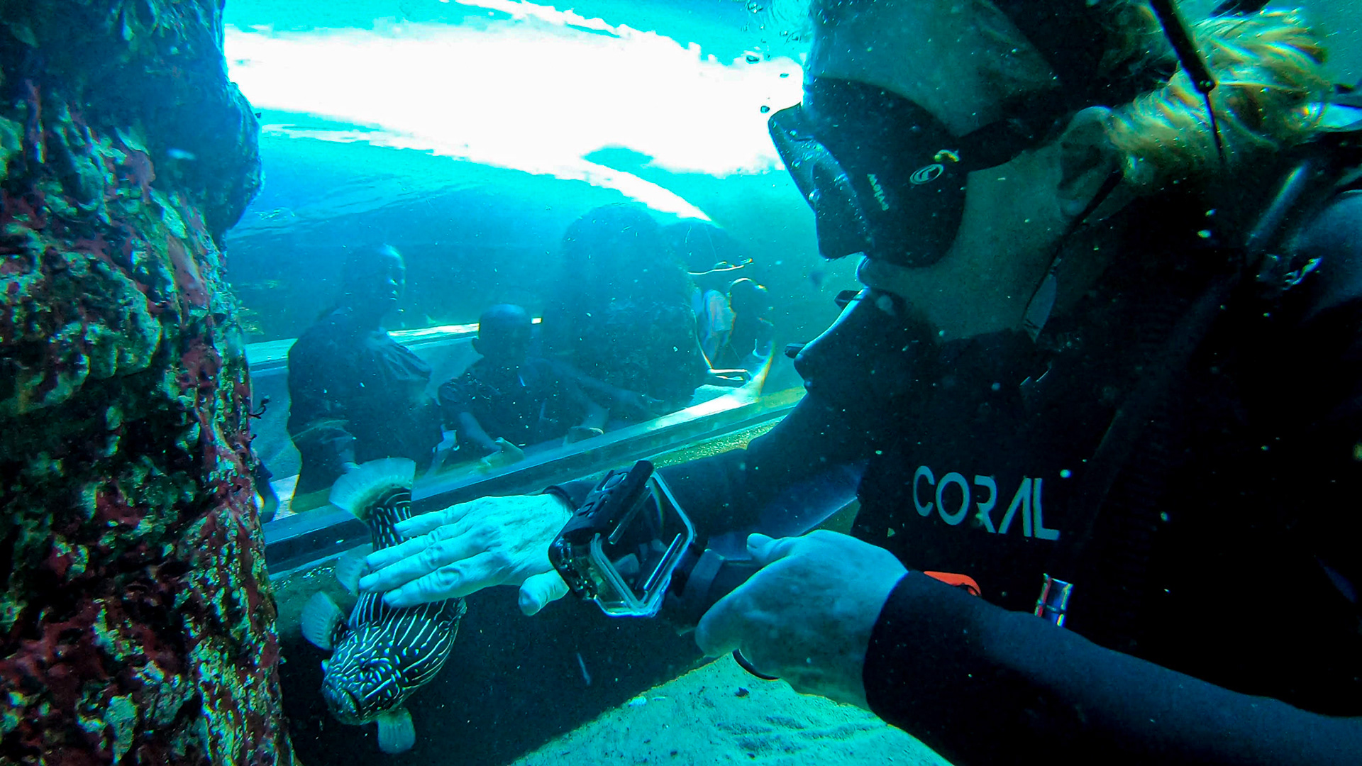 Two Oceans Aquarium ©McNairnPhotography